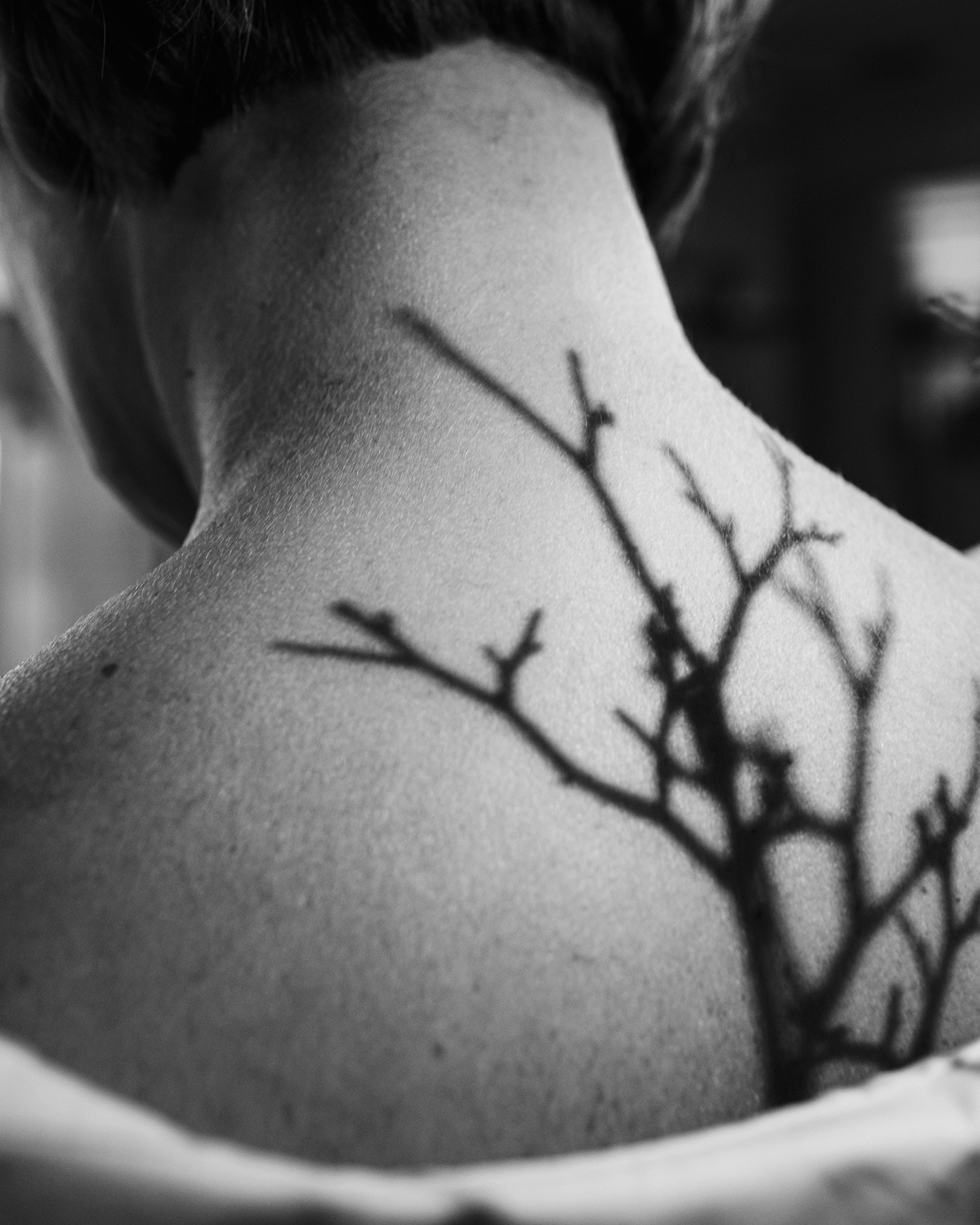 Photography. Lolly Shine. Contemporary digital artist