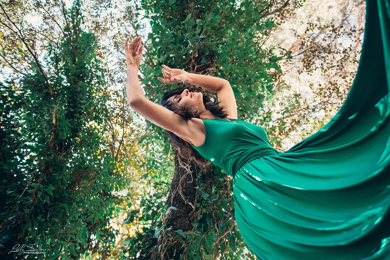 Photography. Lolly Shine. Contemporary digital artist