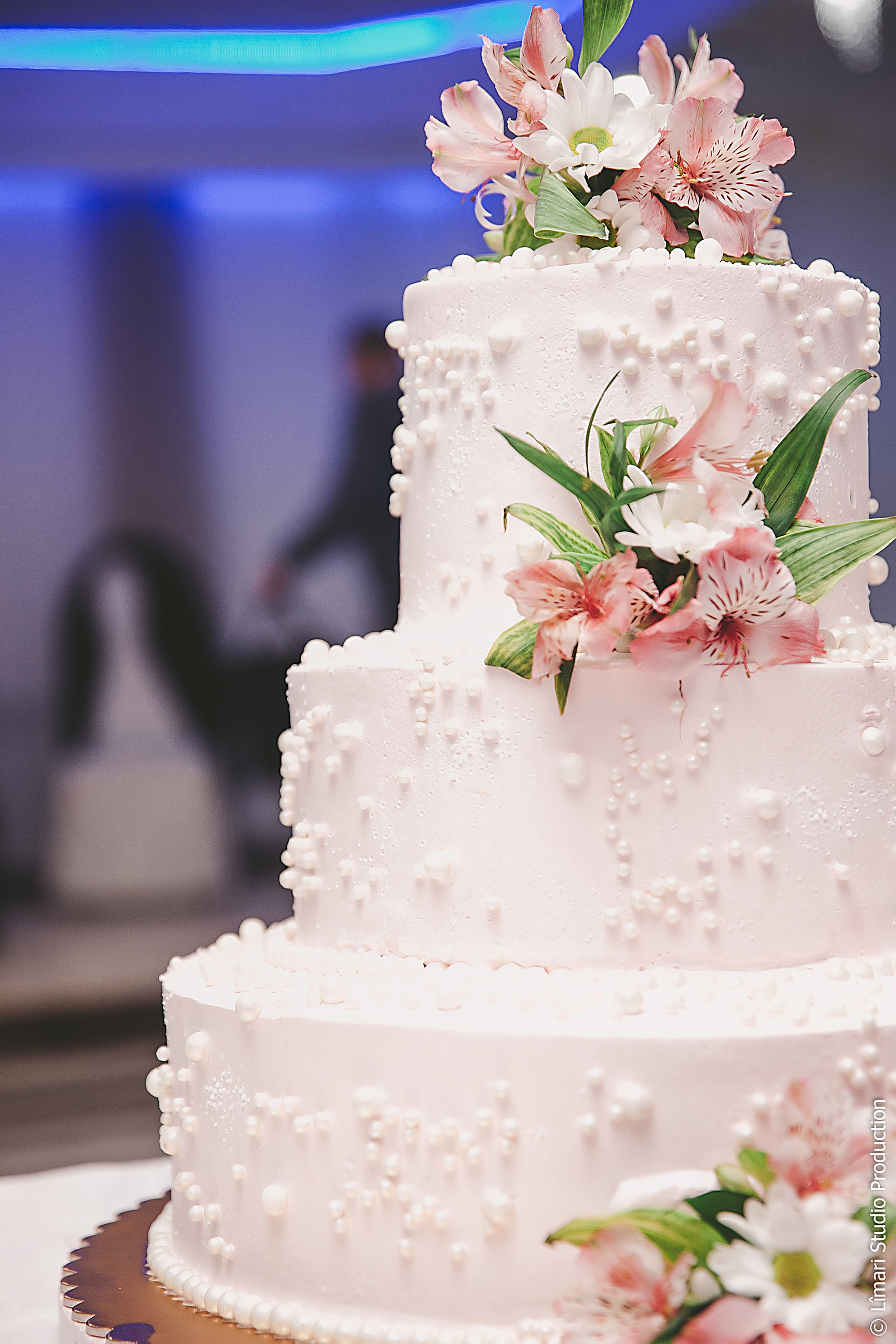 Свадьба Раду и Натальи. Фото видео в молдове