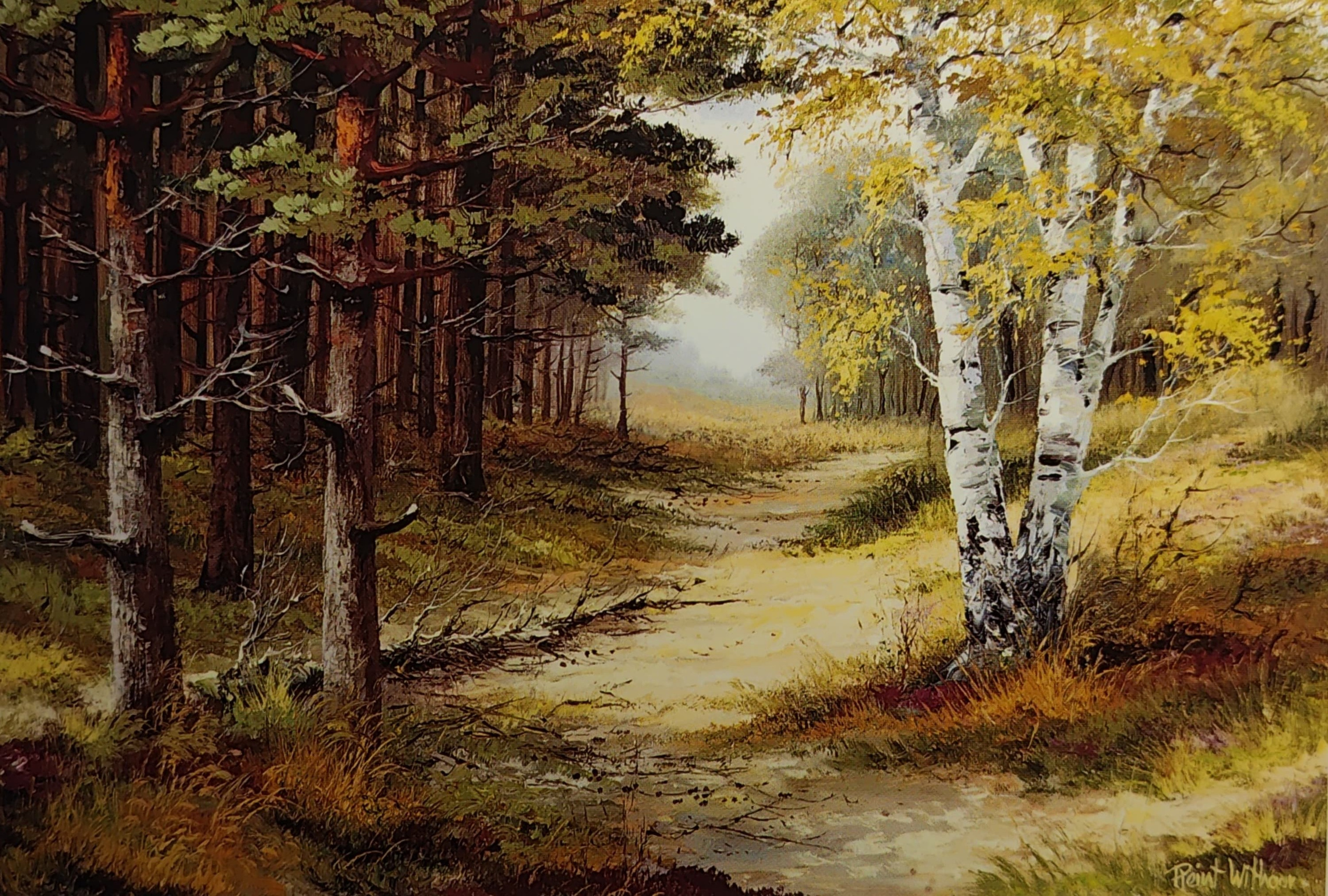 Reint Withaar — Maler bezaubernder Landschaften. Fotografin, Sammlerin von Vintage-Postkarten und Schöpferin von Geschichten an der Schnittstelle zwischen Vergangenheit und Persönlichem. Ir