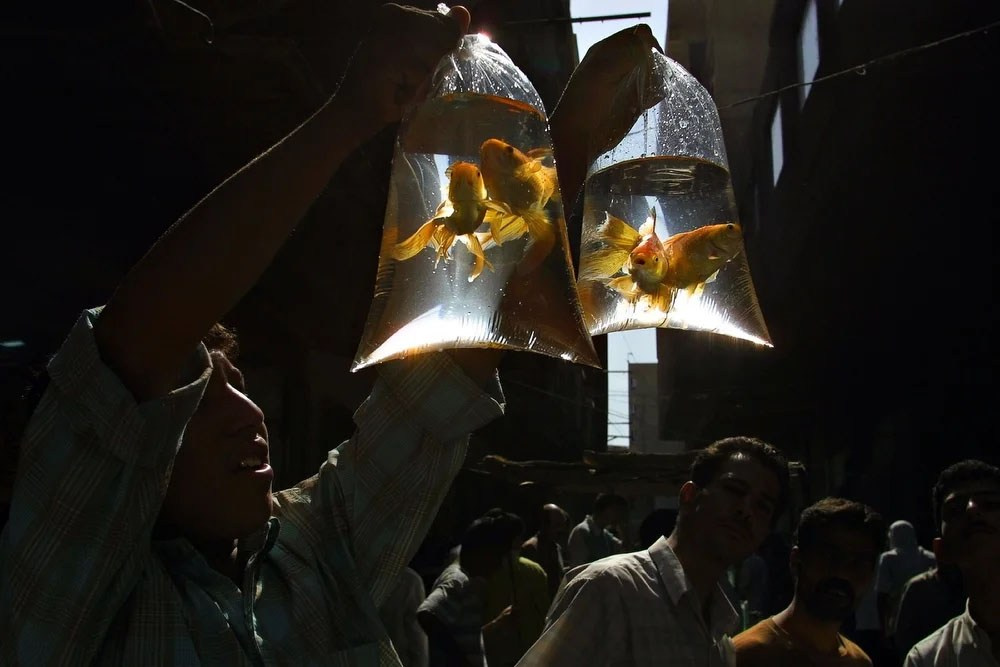 Мастер-класс Сергея Максимишина в Школе Фотографии Романа Рыбалёва. Школа Фотографии Романа Рыбалёва. Город Кишинёв, Молдова