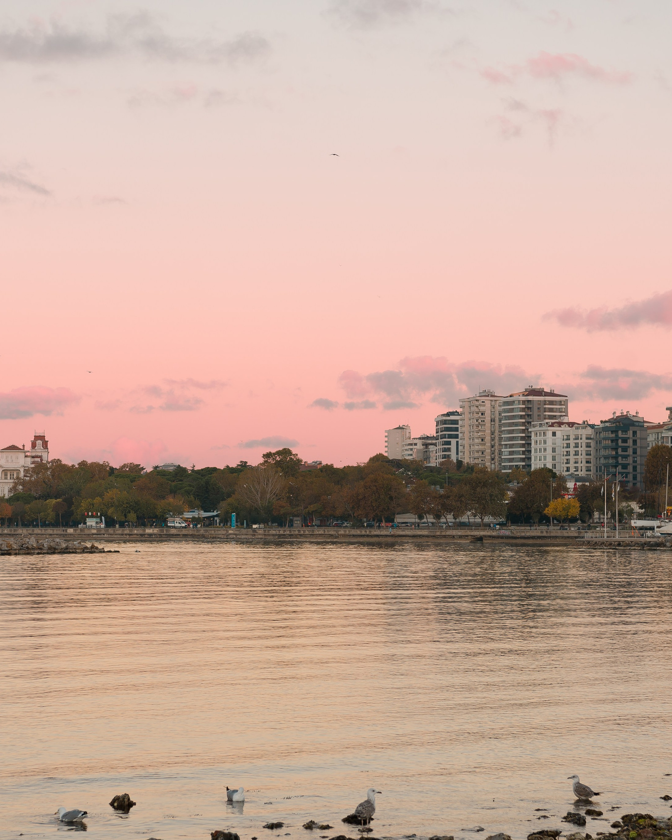 Istanbul. MARIA VALUEVA Photographer in Nice, Cannes, Monaco, France, Europe, Istanbulm Turquie