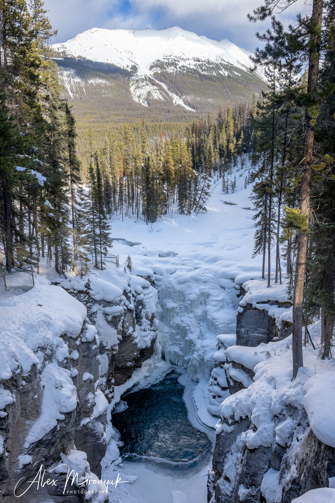 Photographing Winter Wonderland — Canada. Alex Mironyuk Photography
