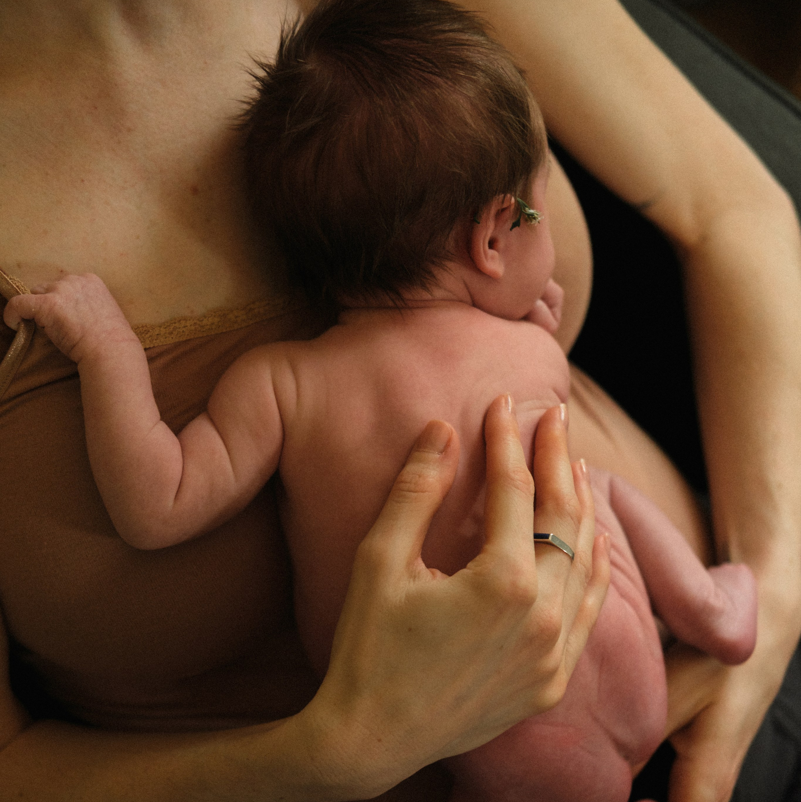 Family, Maternity and Newborn Photography in Richmond, VA. Family Photographer Anna Dobrovolskaia | Richmond, VA