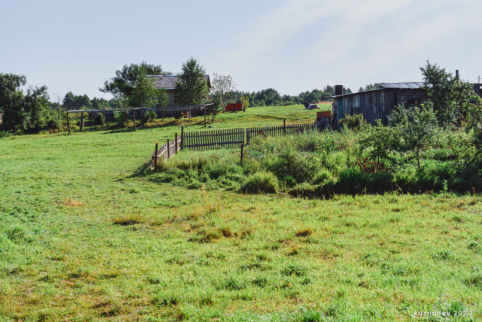 Дорога тишины, Алексей Казнадей, kaznadey