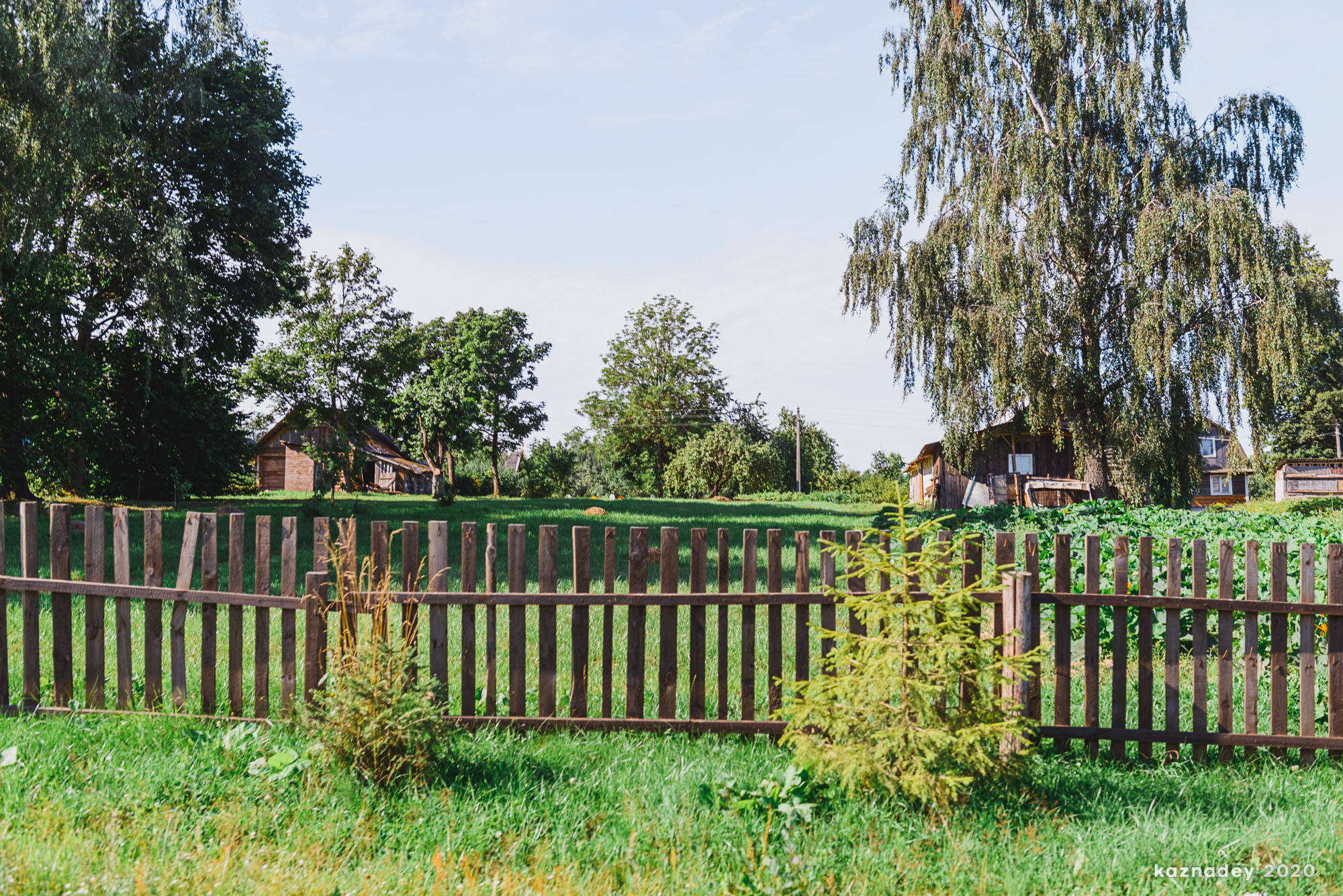 Дорога тишины, Алексей Казнадей, kaznadey