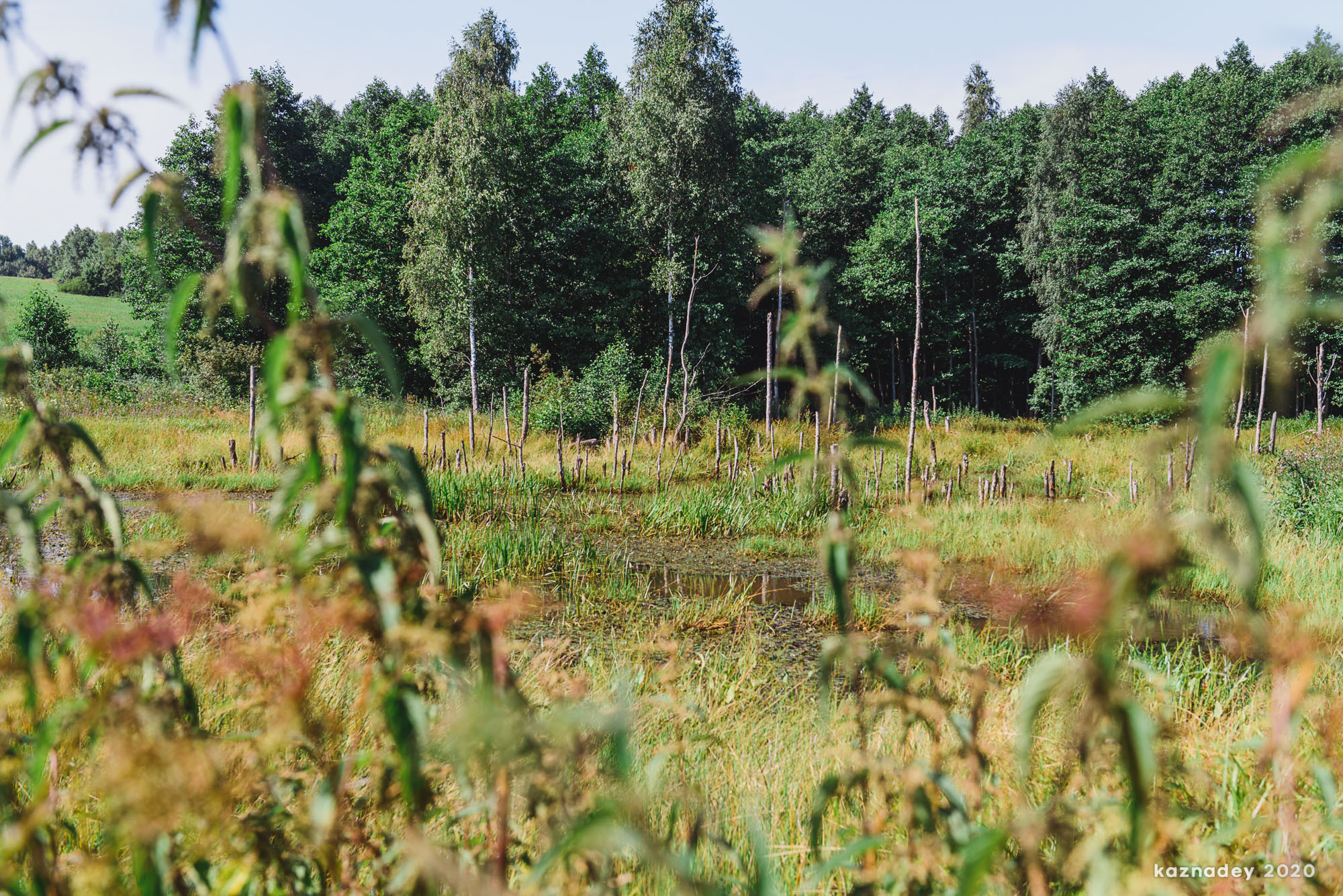 Дорога тишины, Алексей Казнадей, kaznadey
