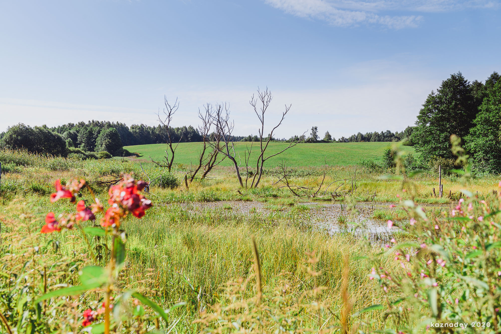 Дорога тишины, Алексей Казнадей, kaznadey