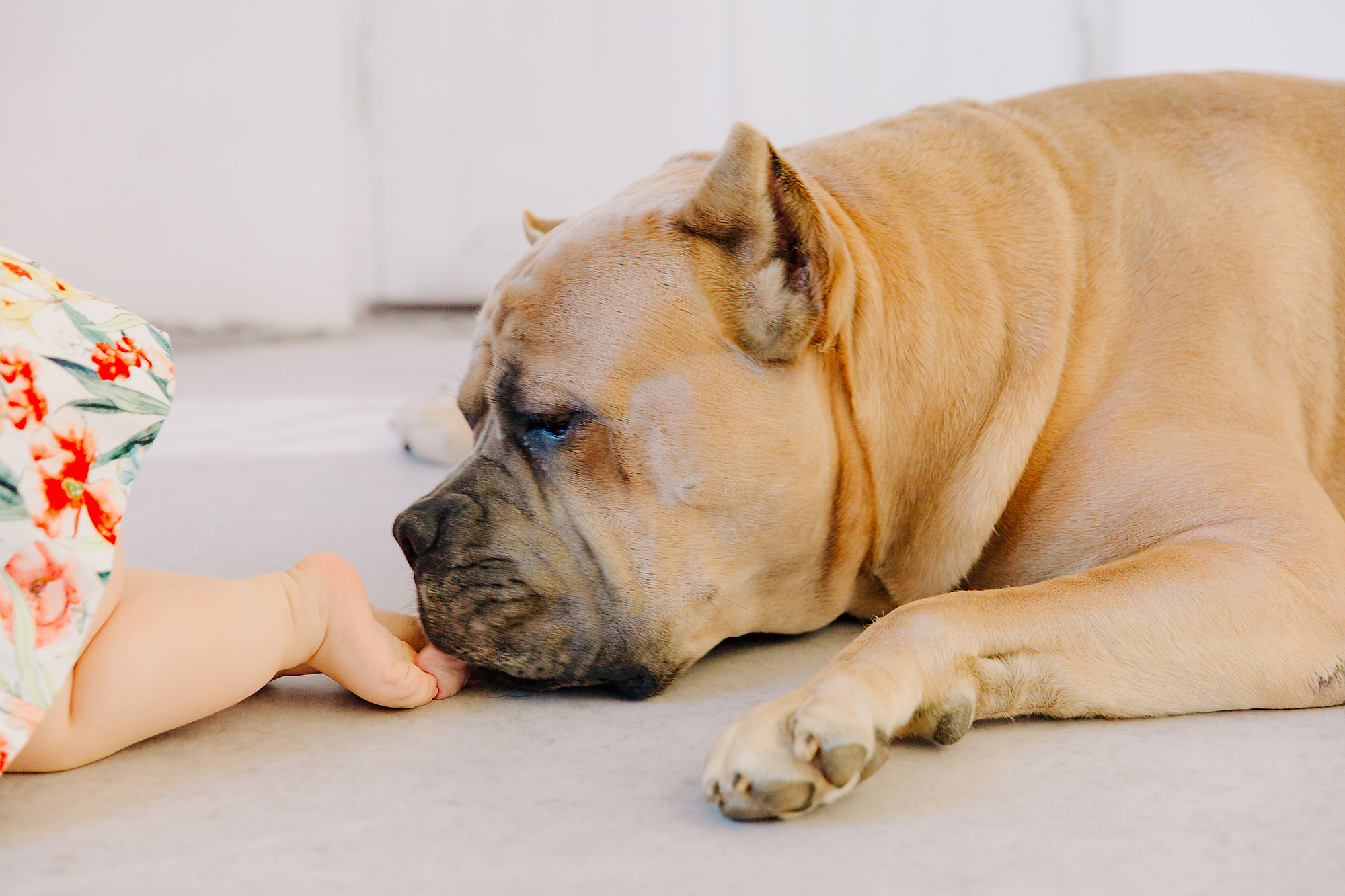 Smash the cake lapsikuvaus Helsinki