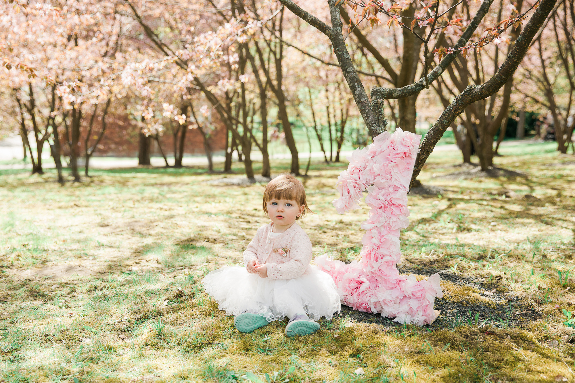 1-vuotiskuvaus Helsingin kirsikkapuistossa