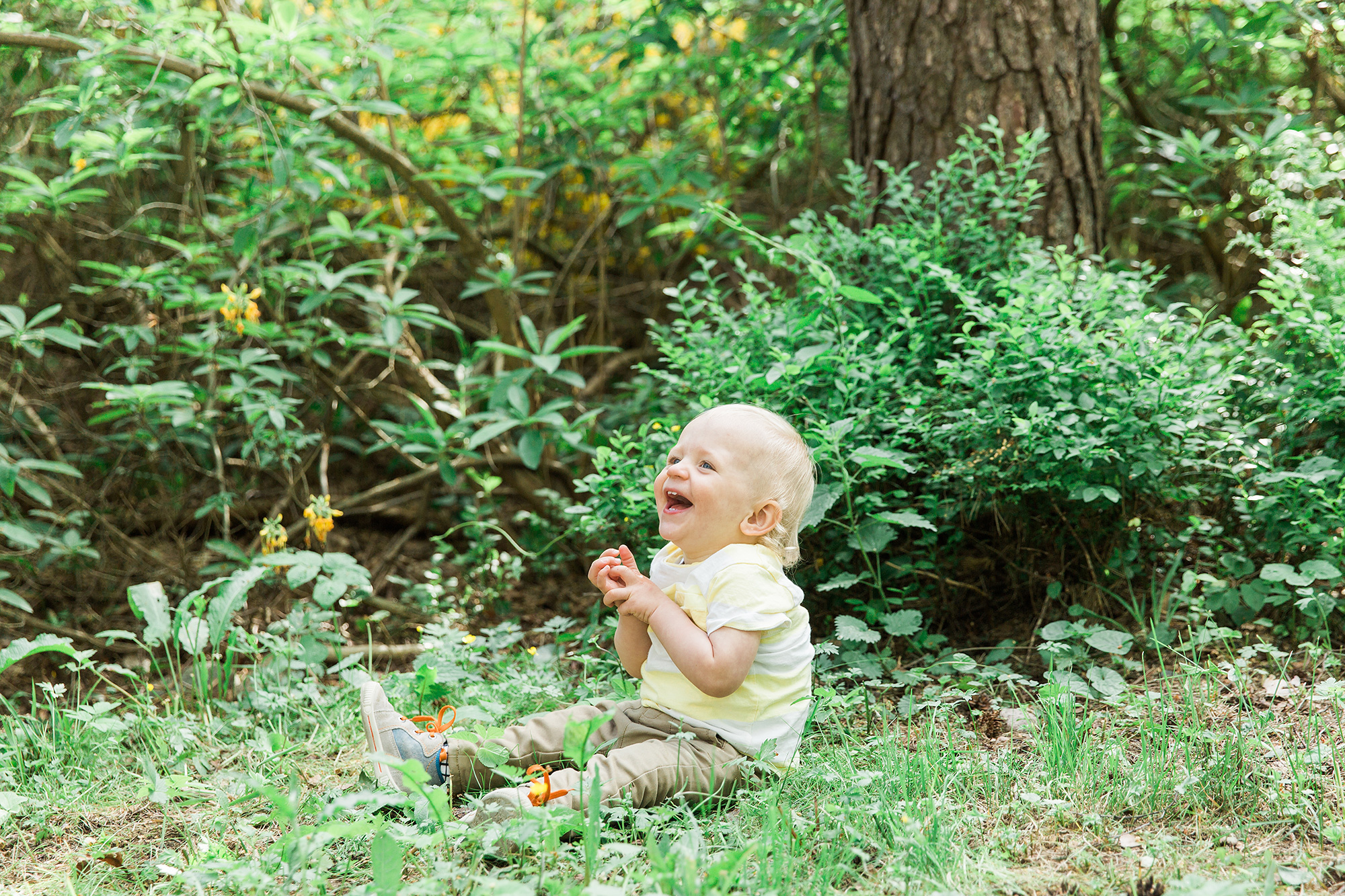 1-V KUVAUS Helsingissä Rodopuistossa