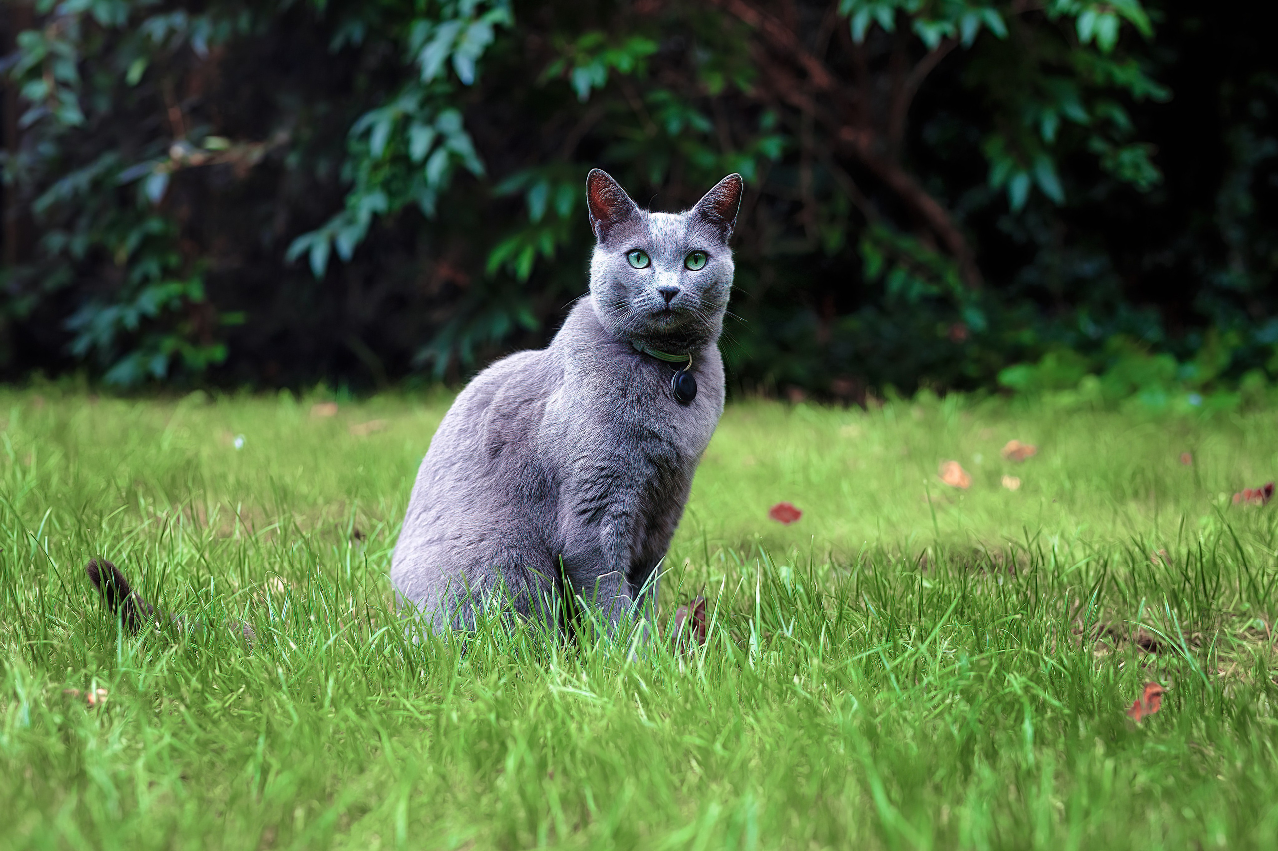 Over Irina Hoek Photography | Maak Kennis met Irina. Familie en huwelijksfotograaf in Zwolle Overijssel