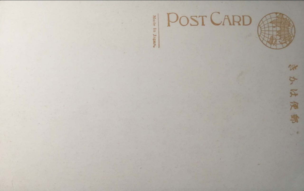 Stara pocztówka: sterowiec „Graf Zeppelin” i historia lotnictwa. Fotografka, kolekcjonerka starych pocztówek i twórczyni opowieści na styku przeszłości i życia osobistego. Irina Dainakova