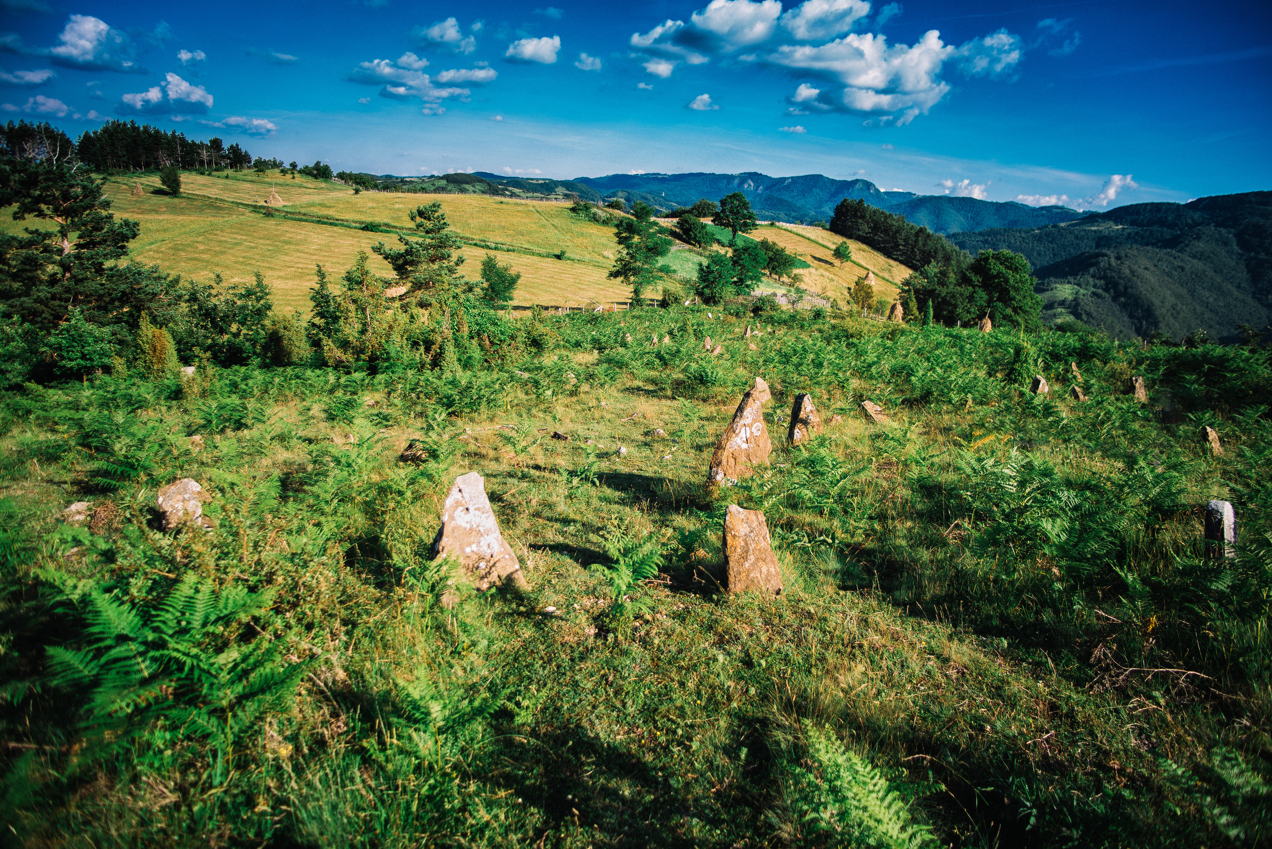Potraga za svojim korenima. Mark Smilyanic | Portretni boudoir fotograf iz Beograda