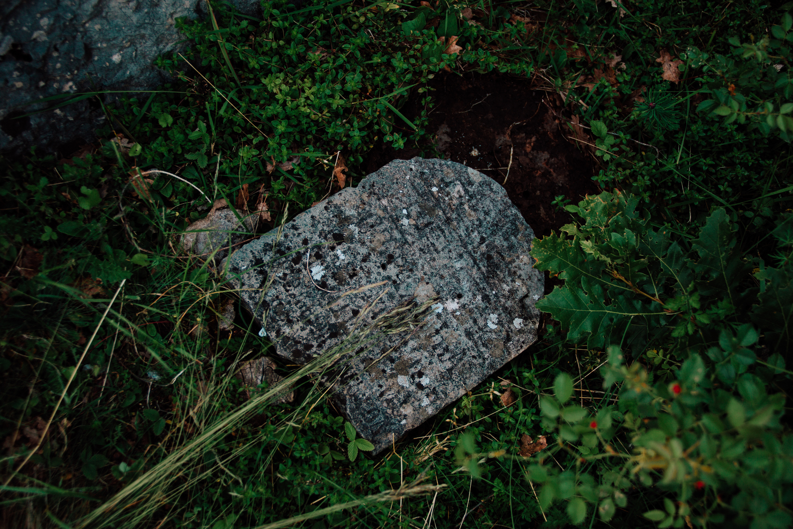 Potraga za svojim korenima. Mark Smilyanic | Portretni boudoir fotograf iz Beograda