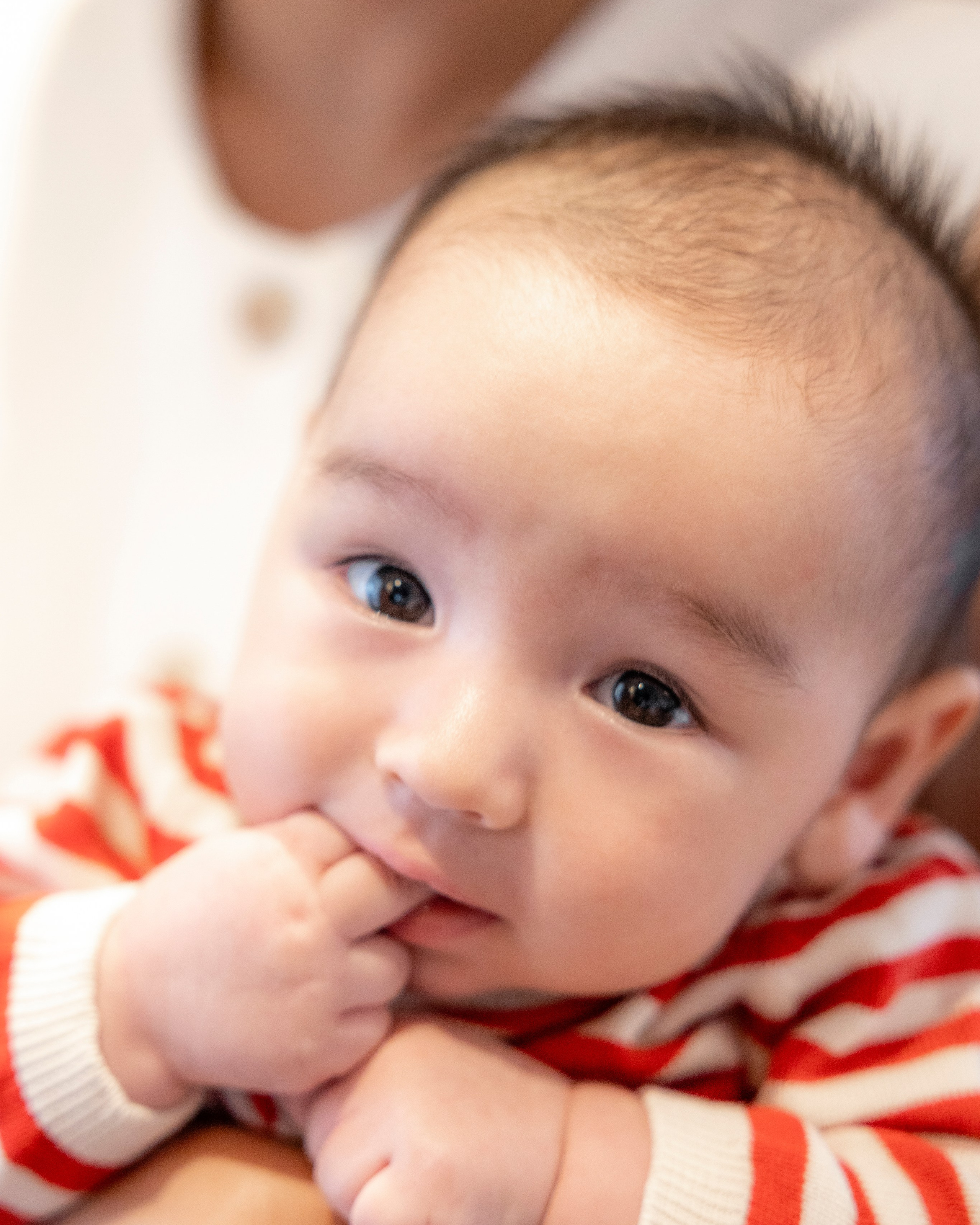 From bump to baby: why at-home family photoshoots in Toulouse are worth It. Eugénie Smirnova — your photographer in Toulouse and southwest France