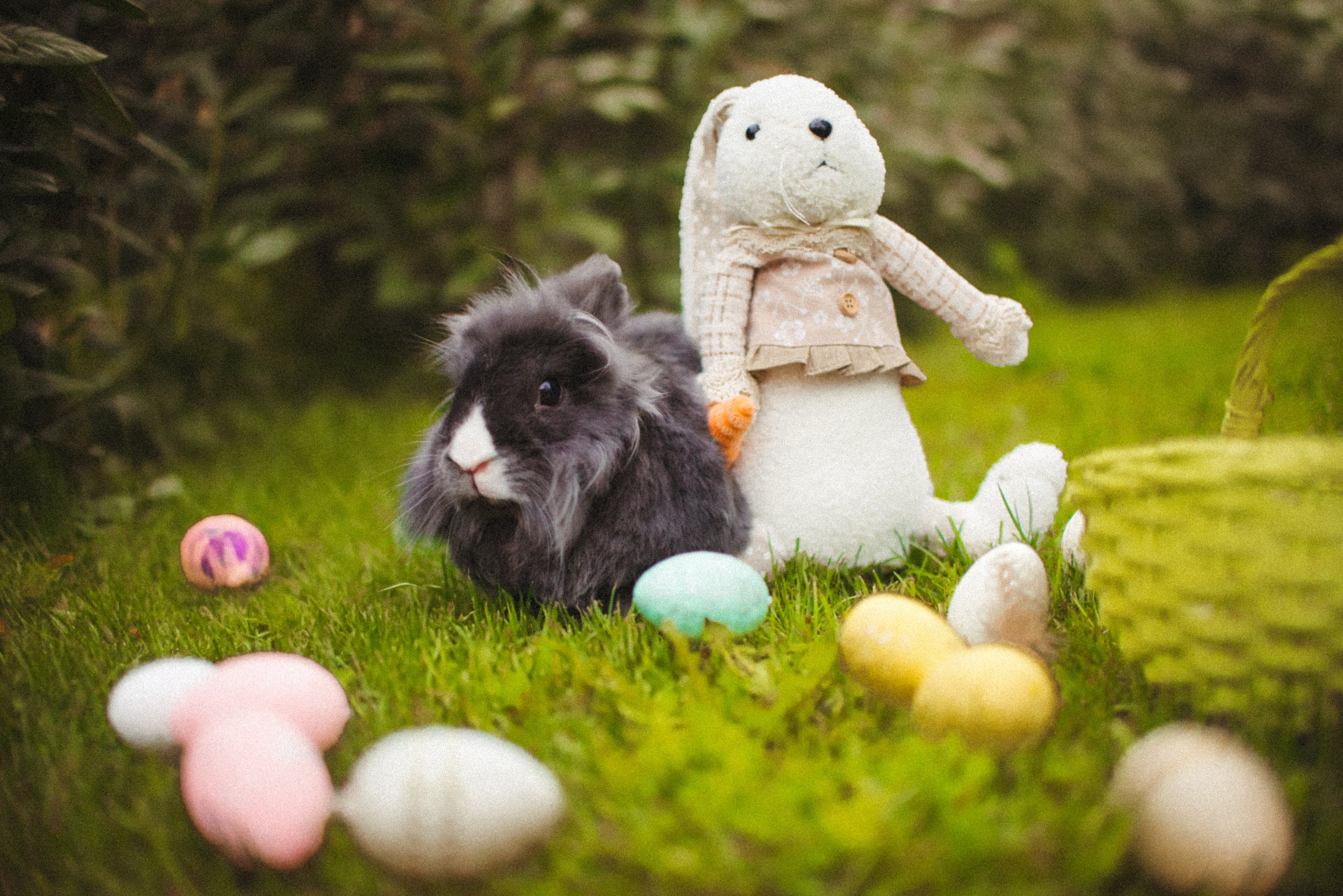 Rodinná a svadobná fotografka v Bratislave | Prezrite si portfólio