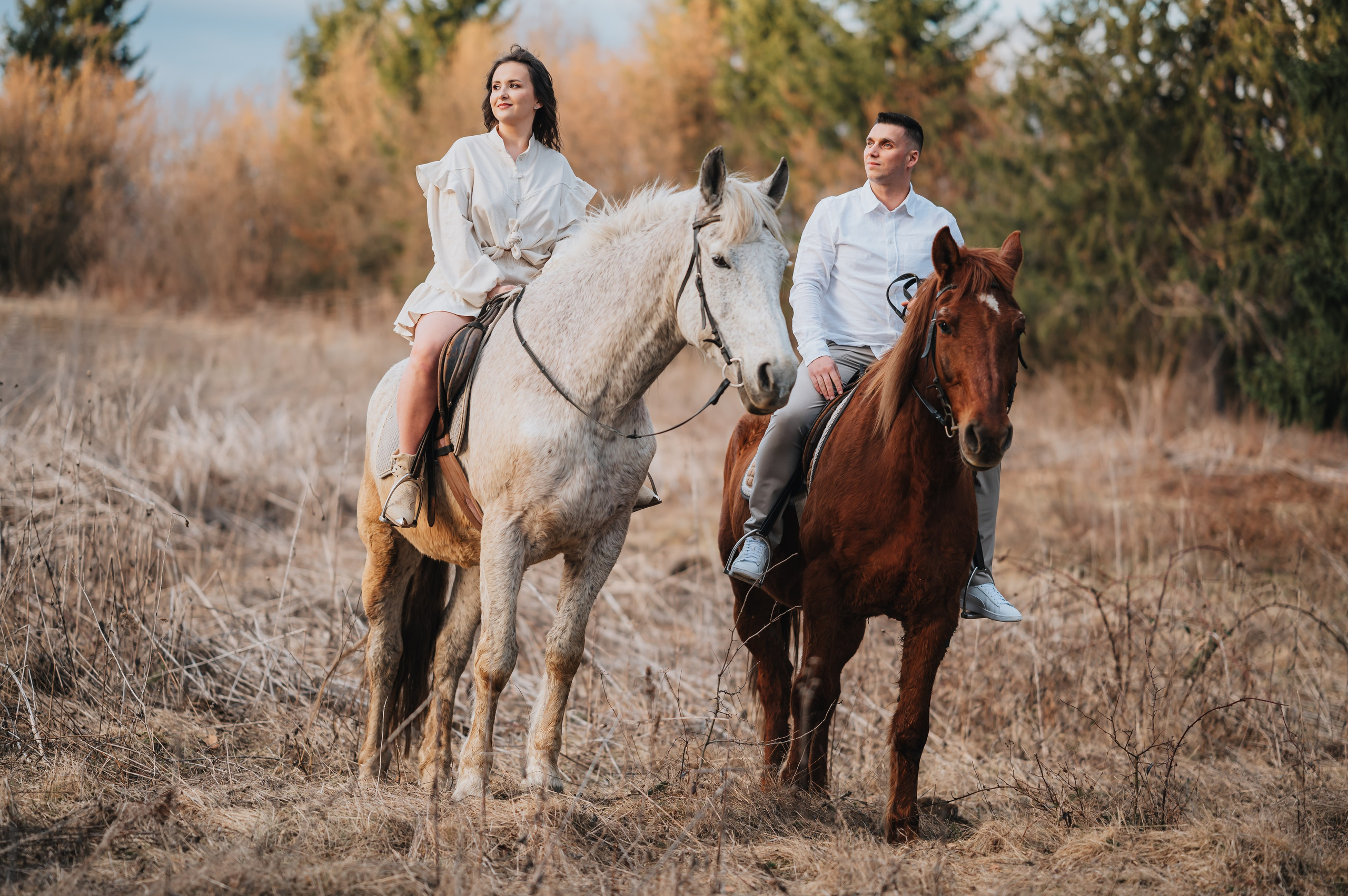 Servicii. Minimalistart