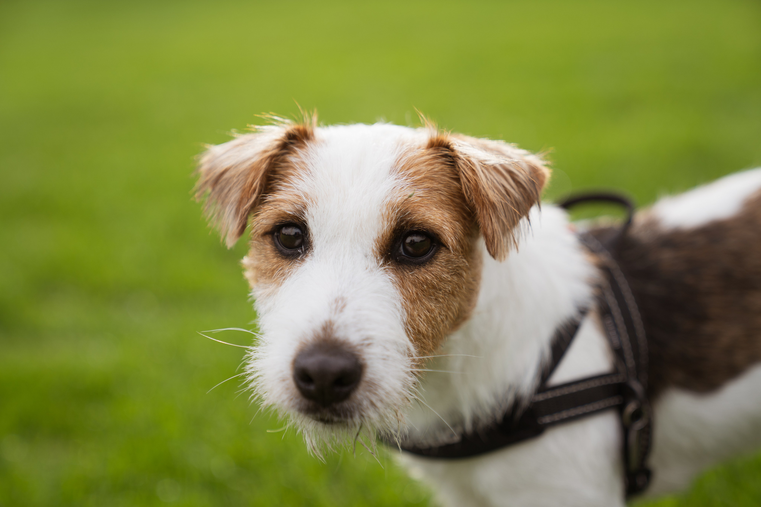 Packages. Photographer & Tour Guide Based in Scotland