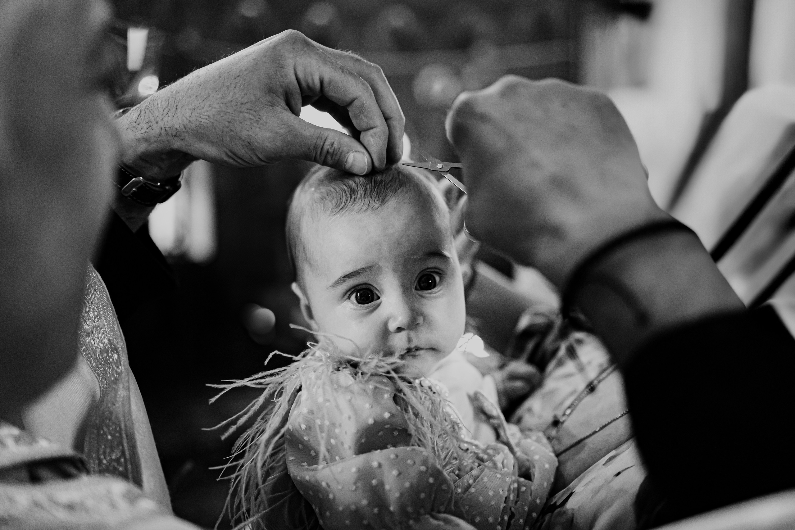 Portofoliu. George Laslău Fotograf