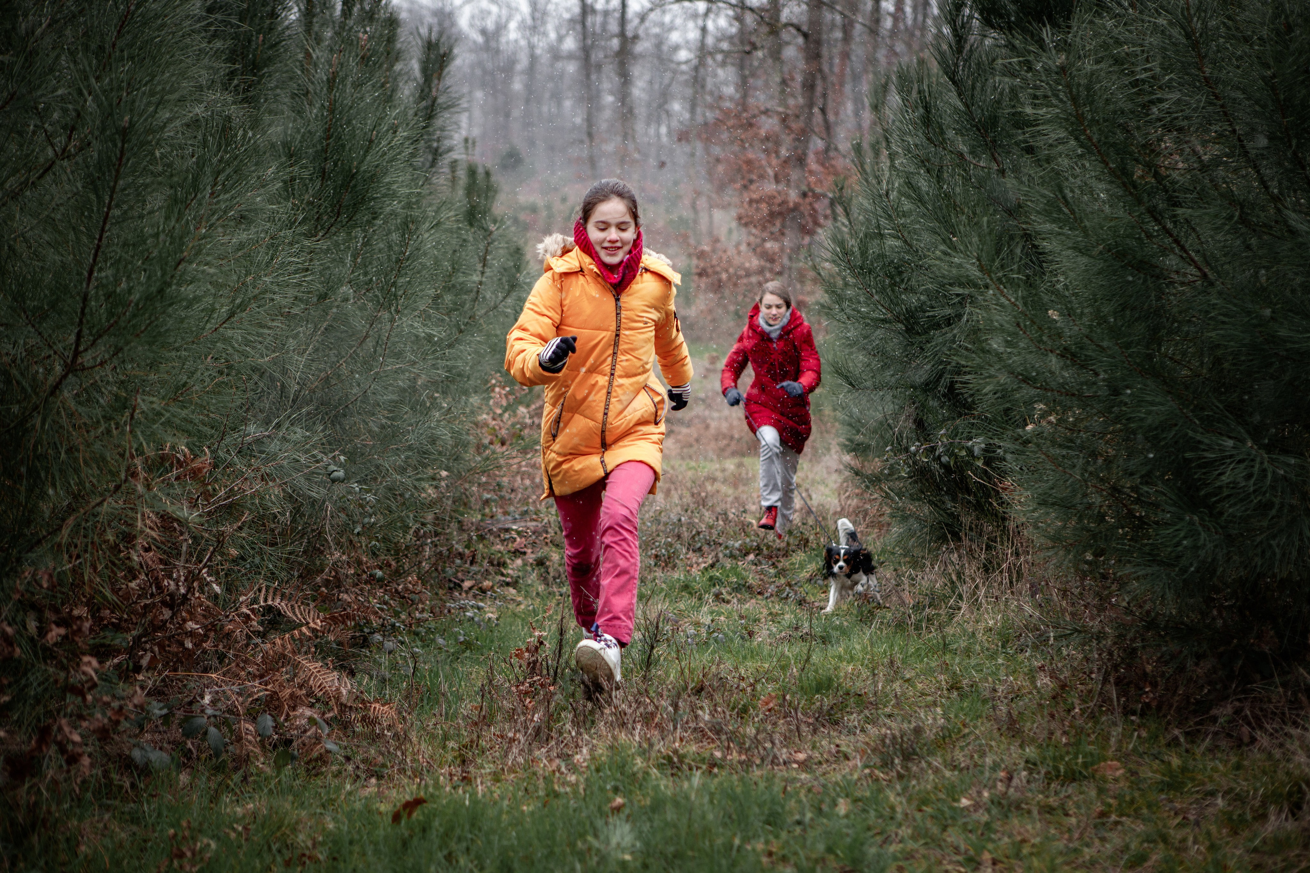 12 Months of the Year — or Why There Are No Interior Photo Studios in Toulouse. Eugenie Smirnova — wedding, corporate and lifestyle photographer in Toulouse and Southwest France