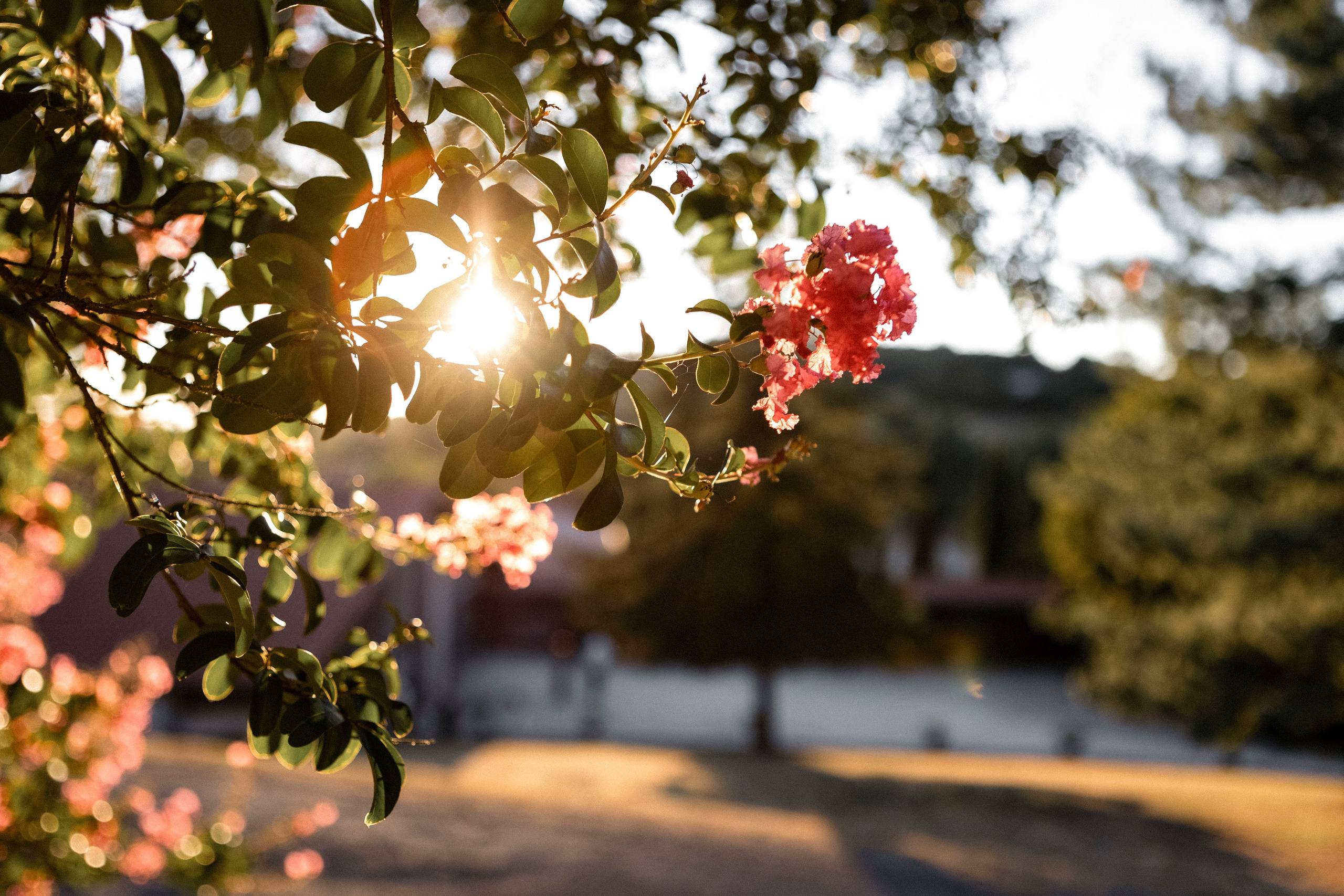 Свадьба в замке Loubéjac. Евгения Смирнова — фотограф в Тулузе и юго-западной Франции