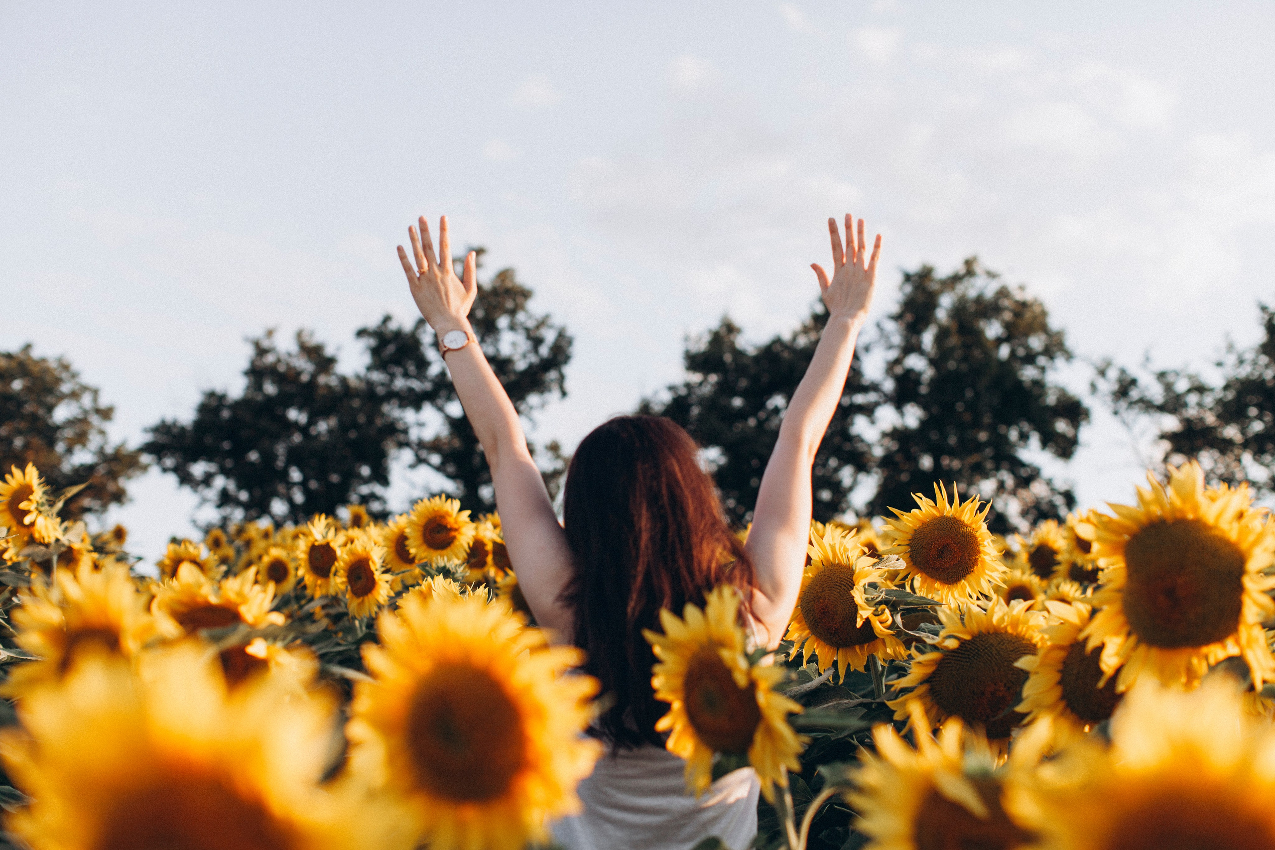 12 Months of the Year — or Why There Are No Interior Photo Studios in Toulouse. Eugenie Smirnova — wedding, corporate and lifestyle photographer in Toulouse and Southwest France