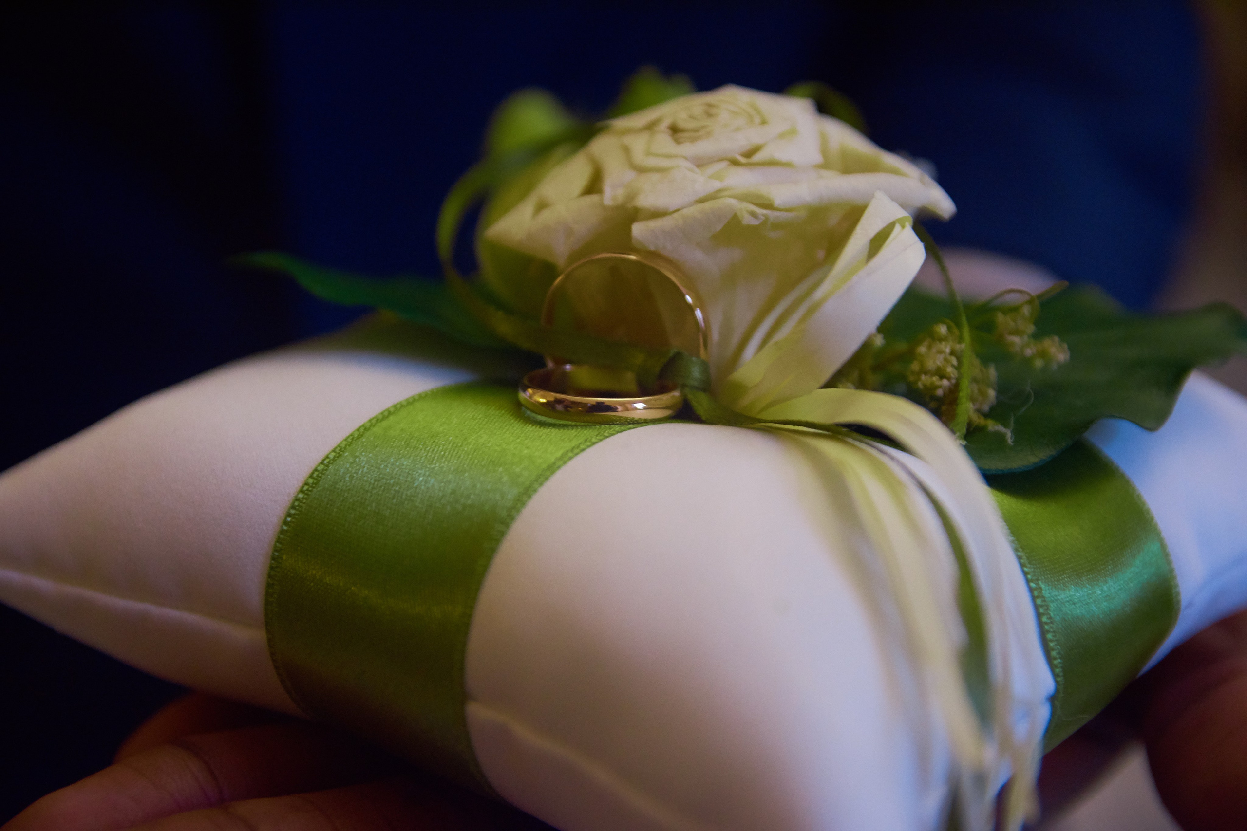 Services. UK based photographer