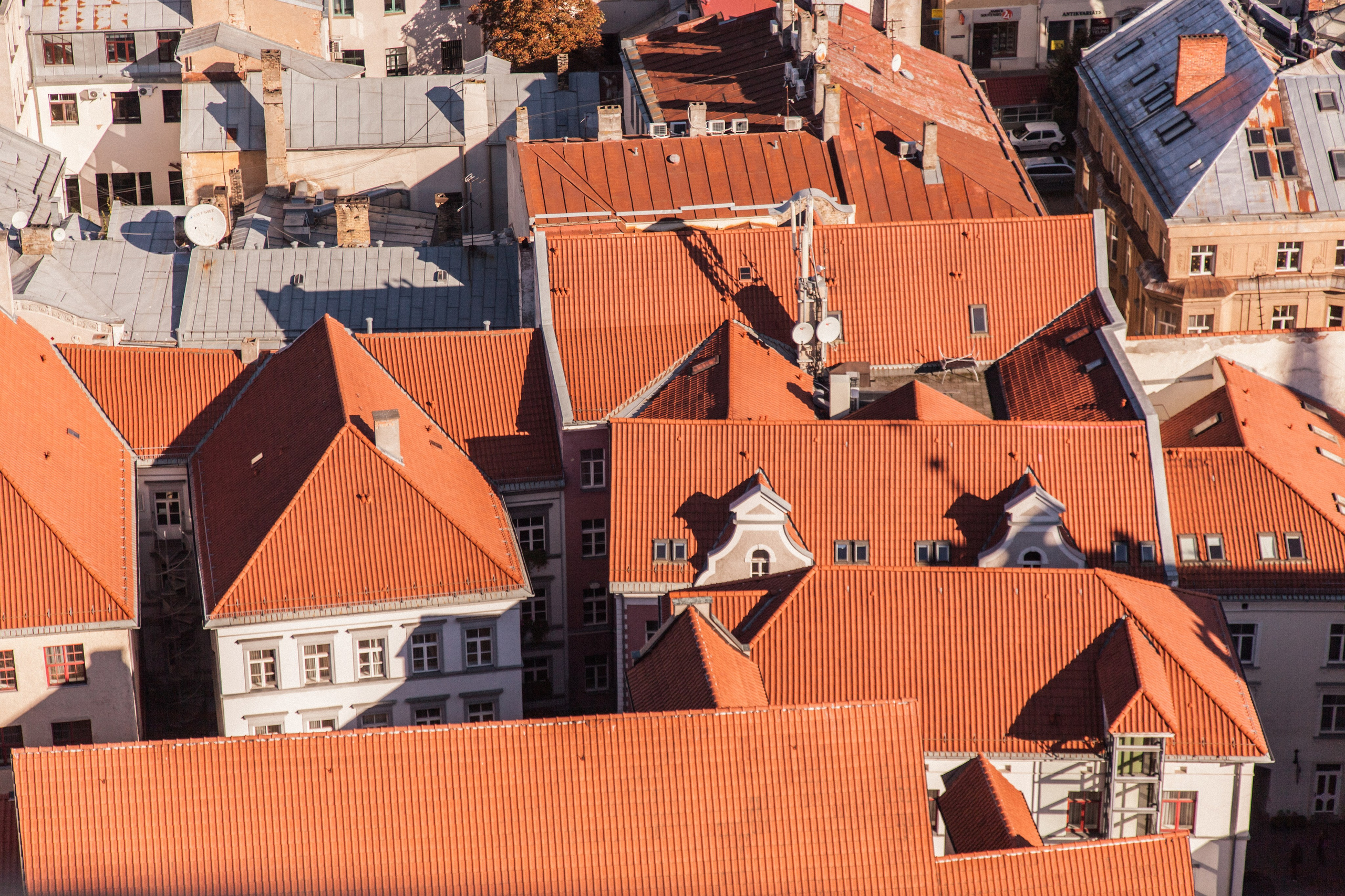 Riga im Oktober. Maria Chistyakovа — Fotografin in Karlsruhe, Baden-Baden und Umgebung