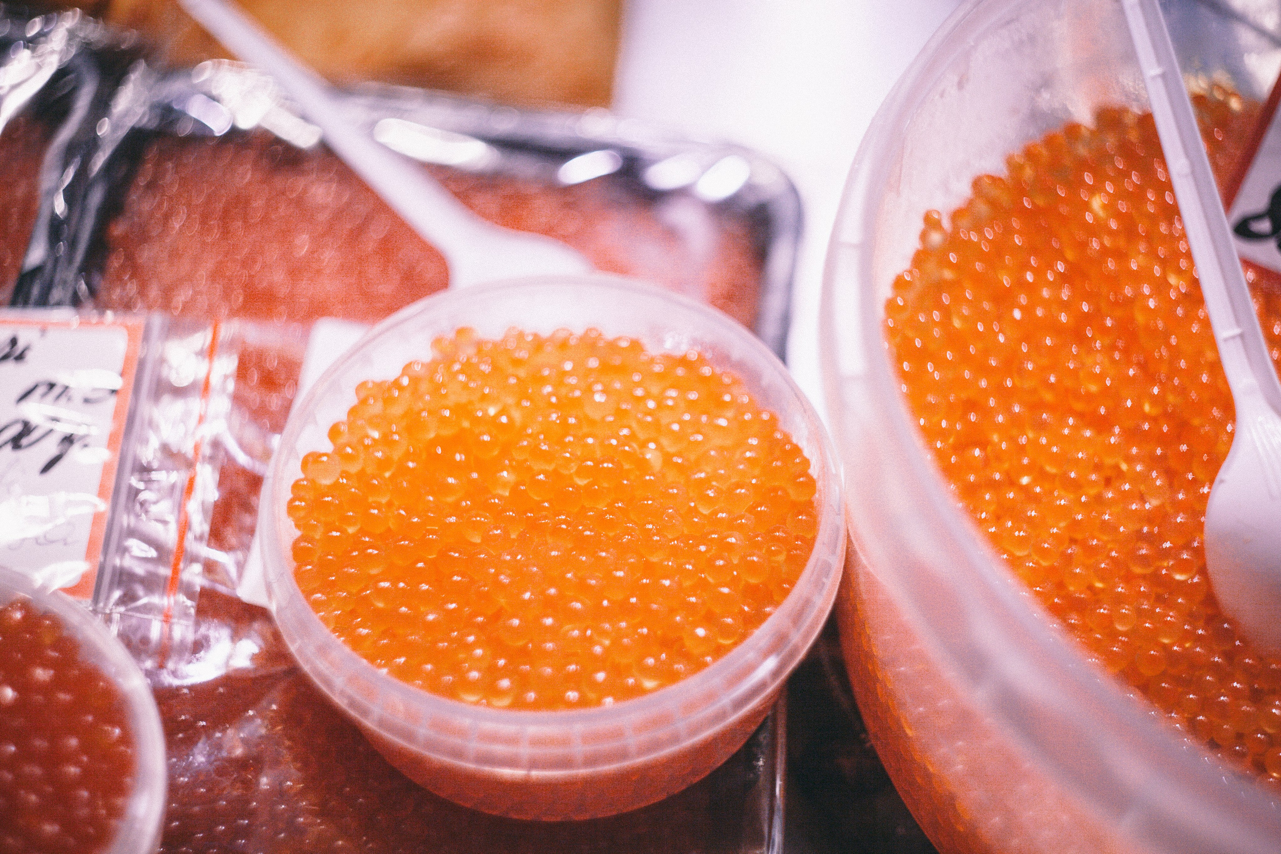 Riga im Oktober. Maria Chistyakovа — Fotografin in Karlsruhe, Baden-Baden und Umgebung