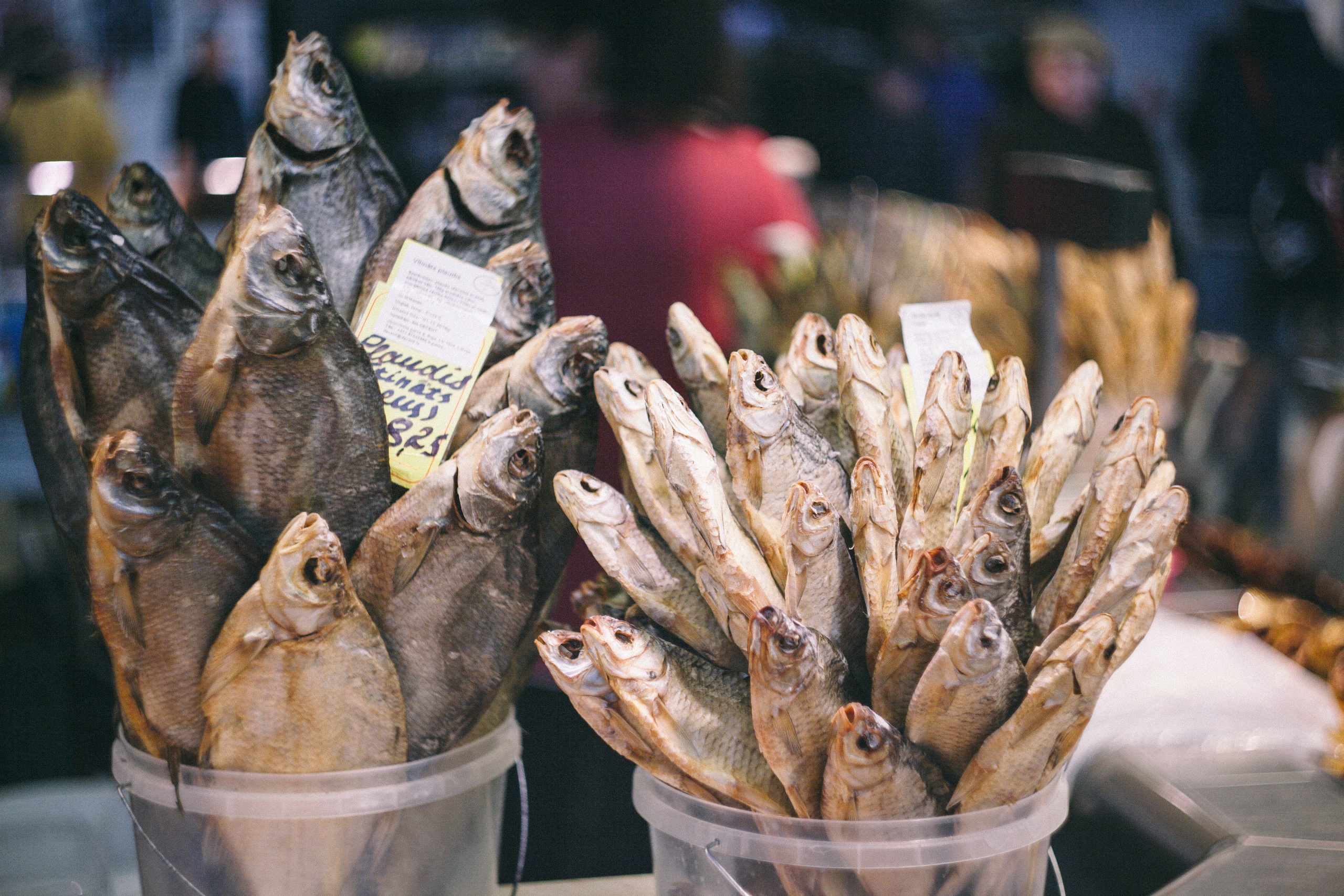 Riga im Oktober. Maria Chistyakovа — Fotografin in Karlsruhe, Baden-Baden und Umgebung