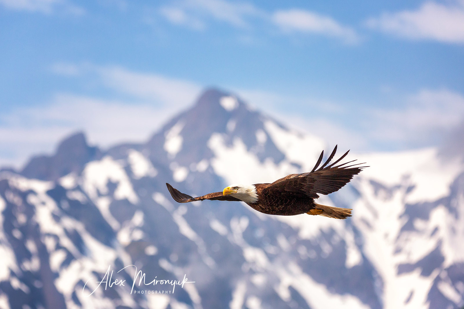 Magnificent Ice. Alaska on RV. Pet, Senior, Landscape, portrait studio, photographer in Miami and Sou