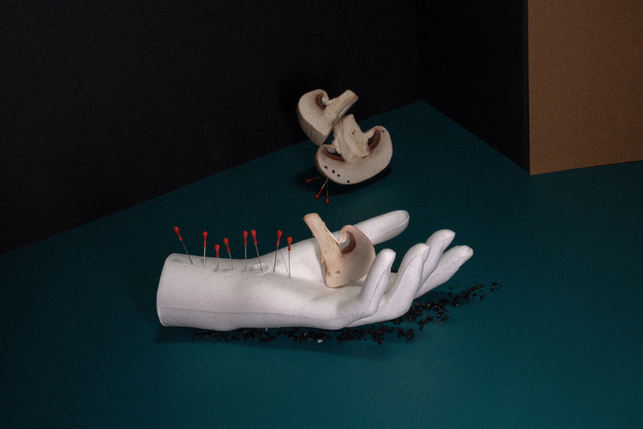 Factory (2023). Антонова | фото