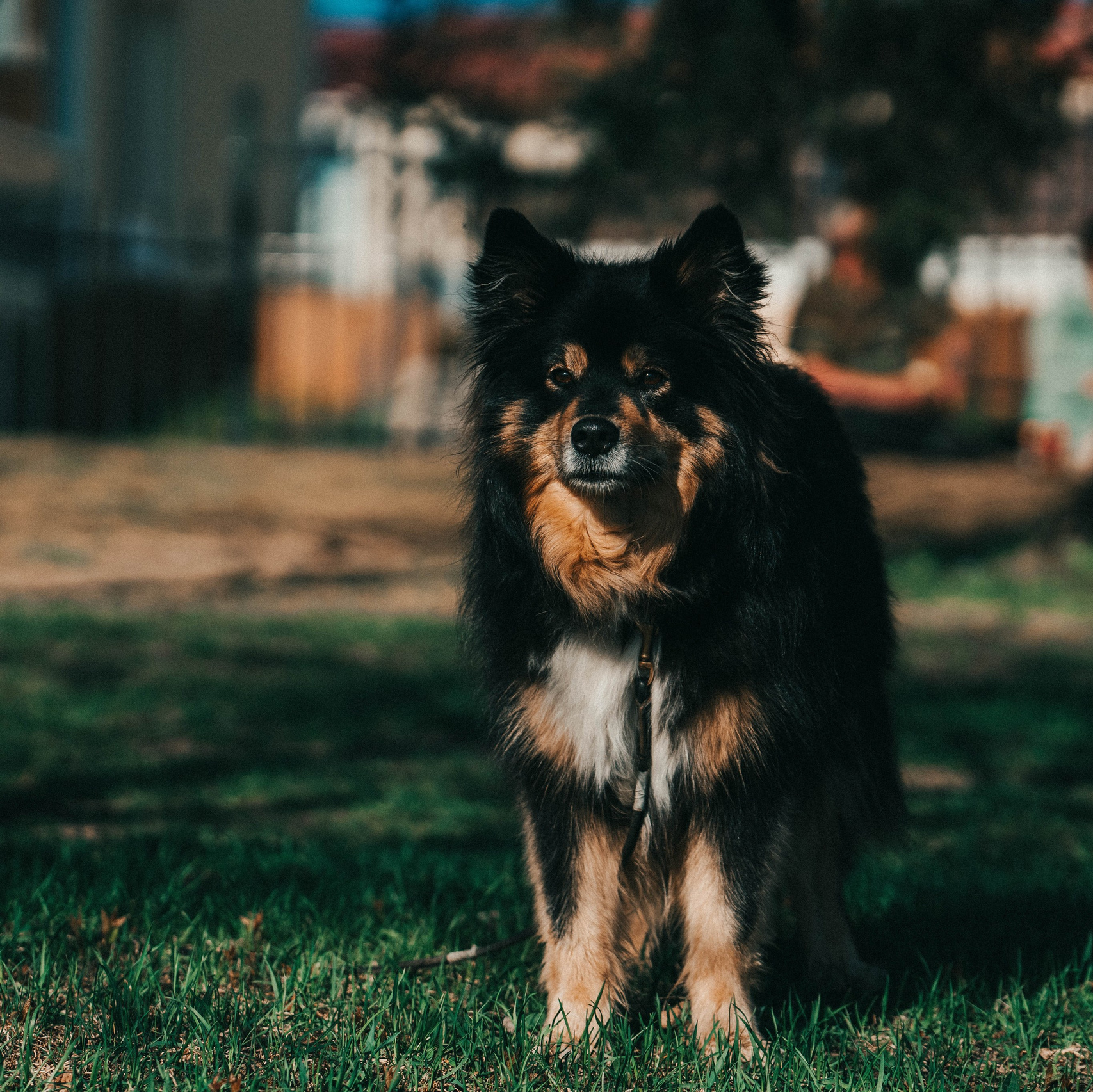Hääkuvaus Kuopiossa Valmistujaiskuvaus  Ristiäiskuvaus Valokuvaaja Kuopiossa Tapahtumakuvaus Kuopiossa. VEKE MEDIA