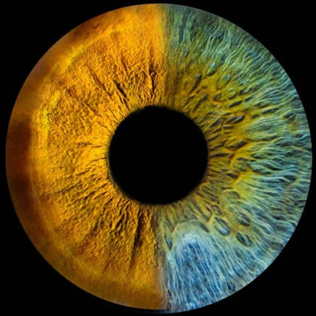 Prices. Hi, my name is Eric T and I am Iris photographer