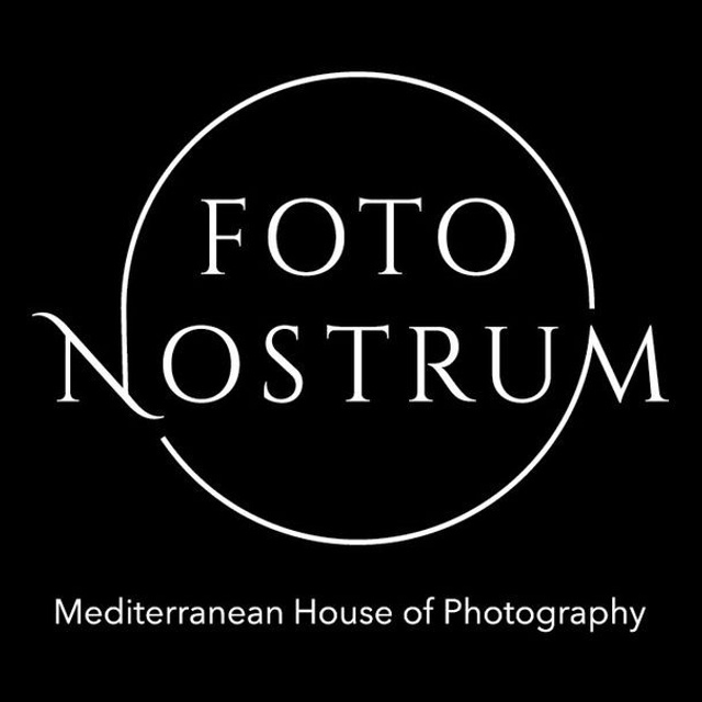 Flying against all odds. Lolly Shine. Contemporary digital artist