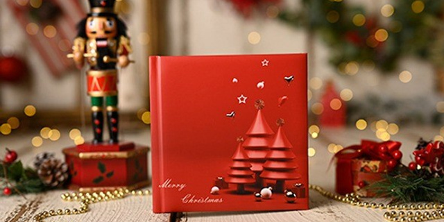 Albumul Craciun Madalina