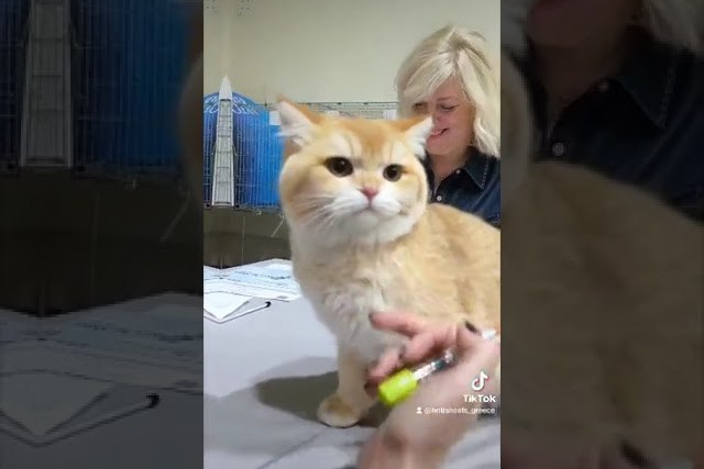 Athens, Greece 2-3/12/2023