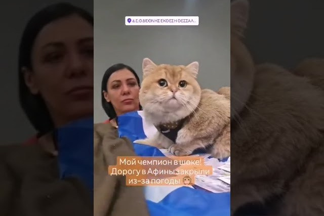 Thessaloniki, Greece, 4-5/02/2023