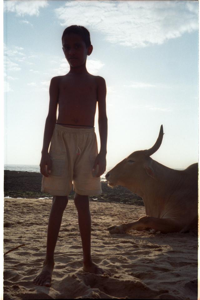 Selection from archive