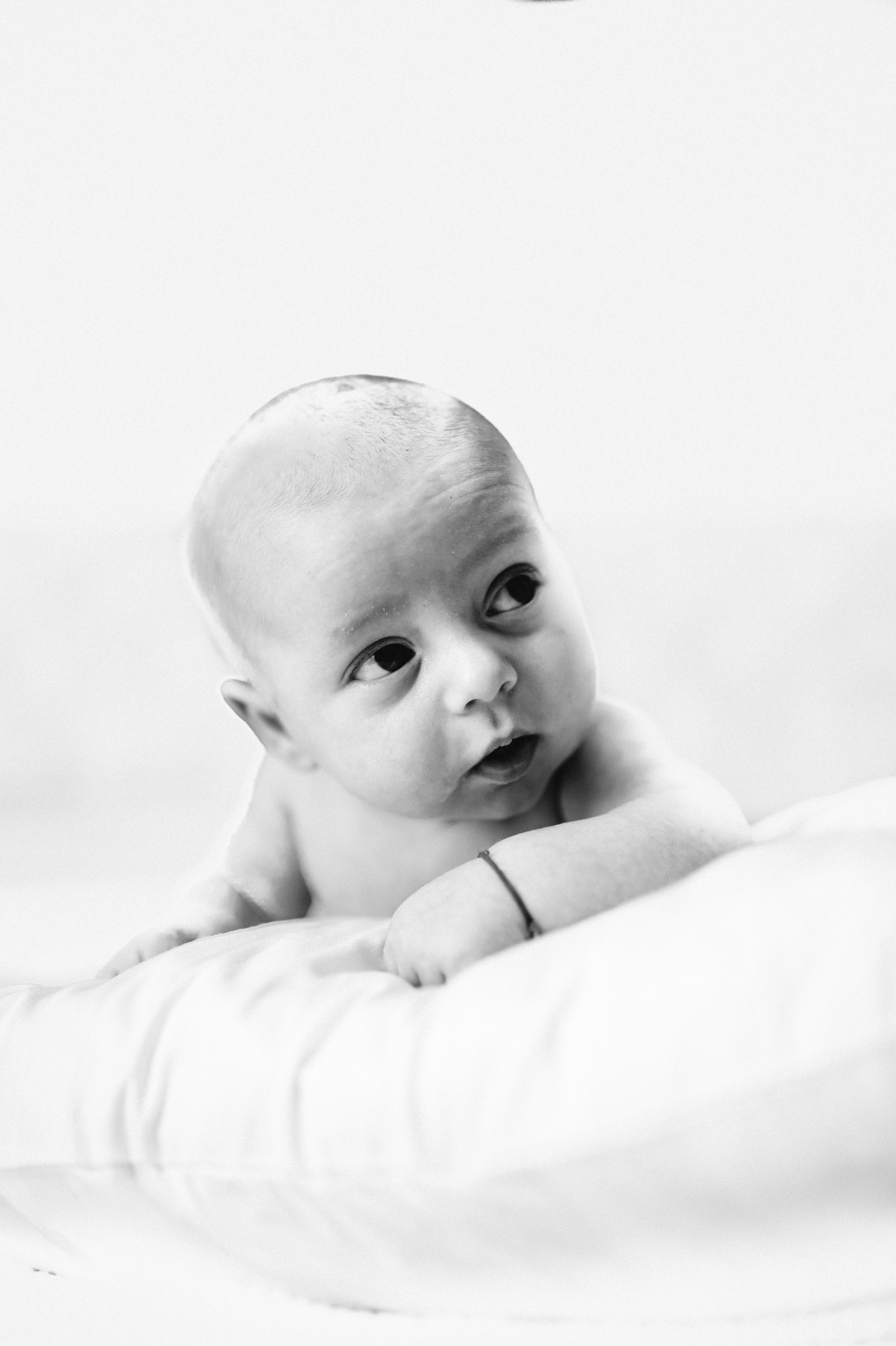 Fotografie & Videografie evenimente - Suceava, Romania