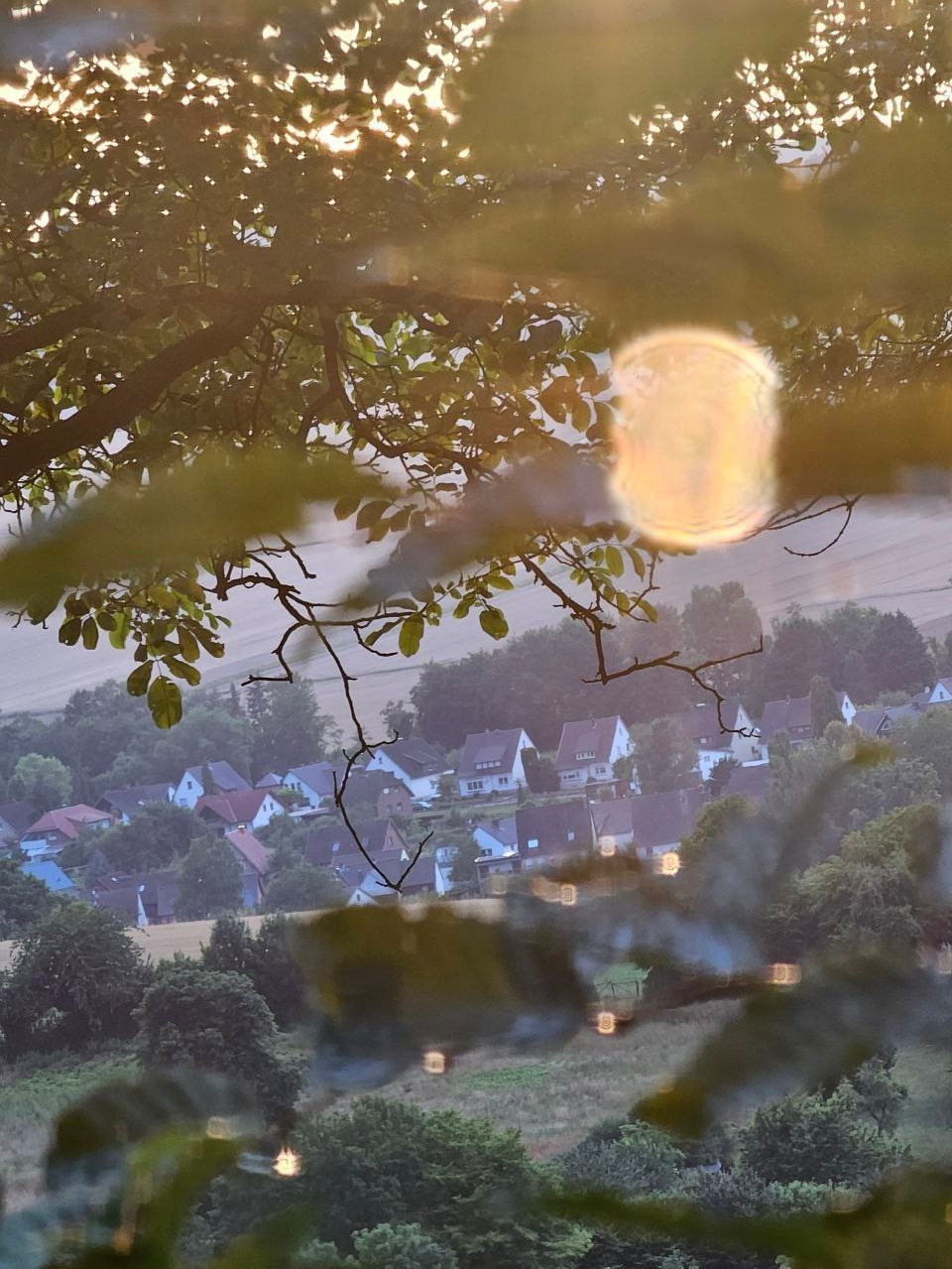 FERIENDORF JOURNAL. Schwarz-weiß Fotografie in Münster. Fotografin Viktoria Roschen