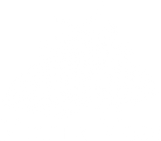 mothandmoss.com