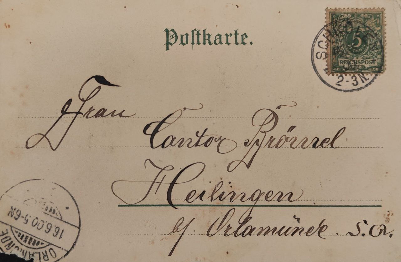 Handmade postcard art: vintage botanical. Photographer, collector of vintage postcards, and creator of stories at the intersection of the past and the personal. Irina Dainakova