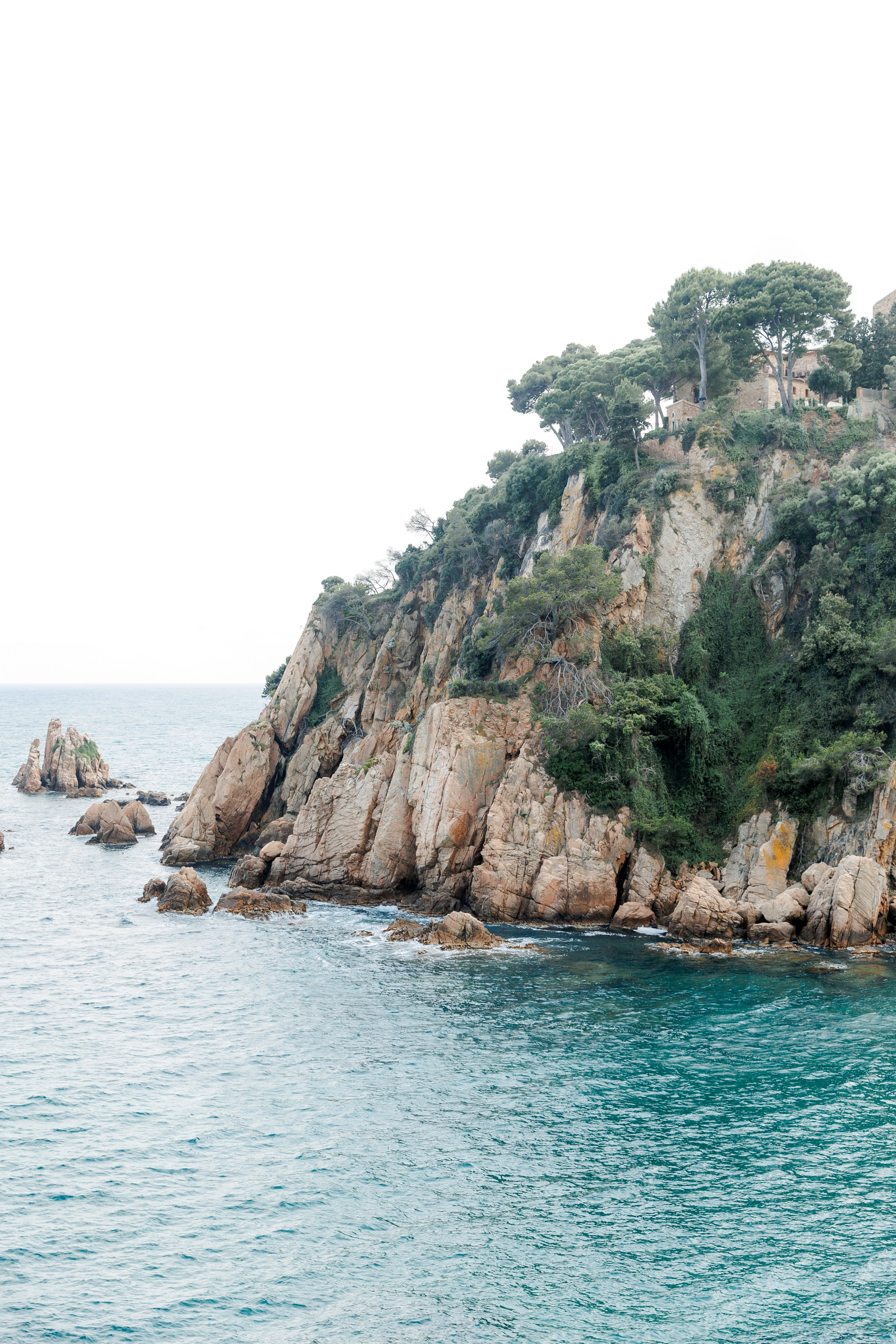 Dreamy Elopement in Marimurtra Botanical Garden. Wedding Photographer in Barcelona Lana Alekhina