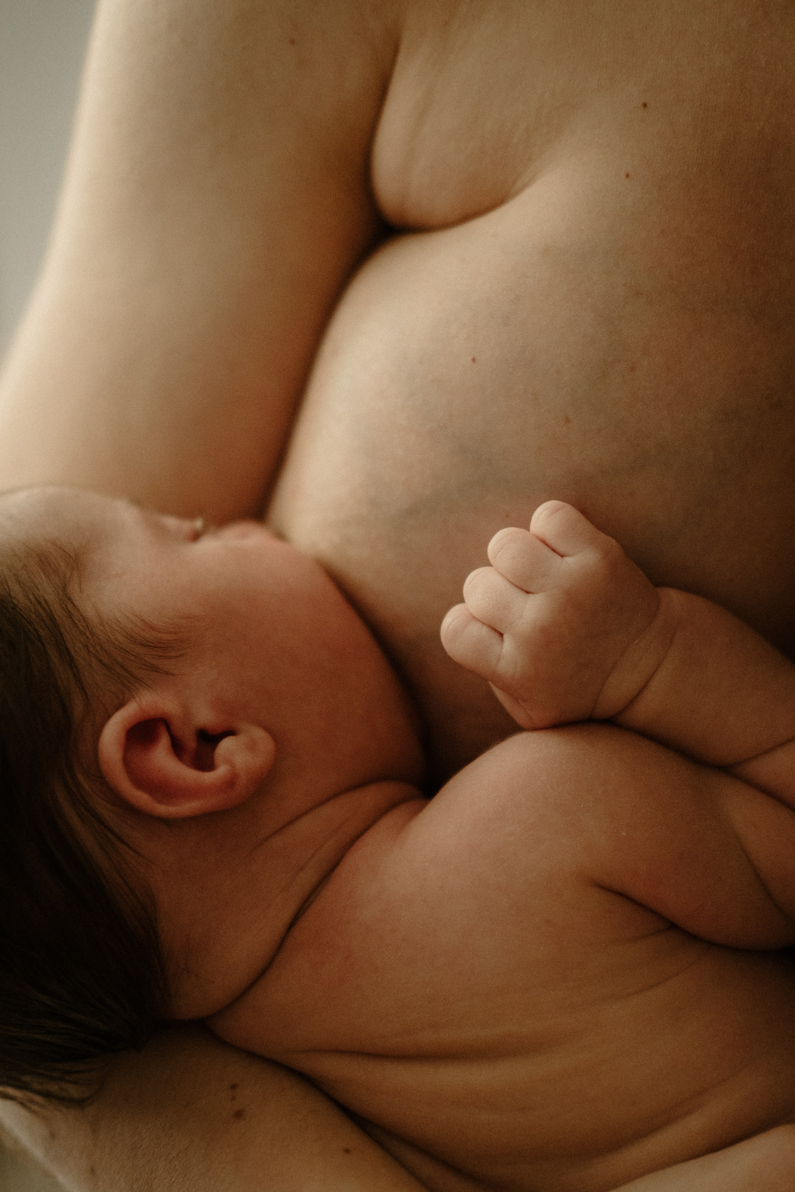 Family, Maternity and Newborn Photography in Richmond, VA. Family Photographer Anna Dobrovolskaia | Richmond, VA