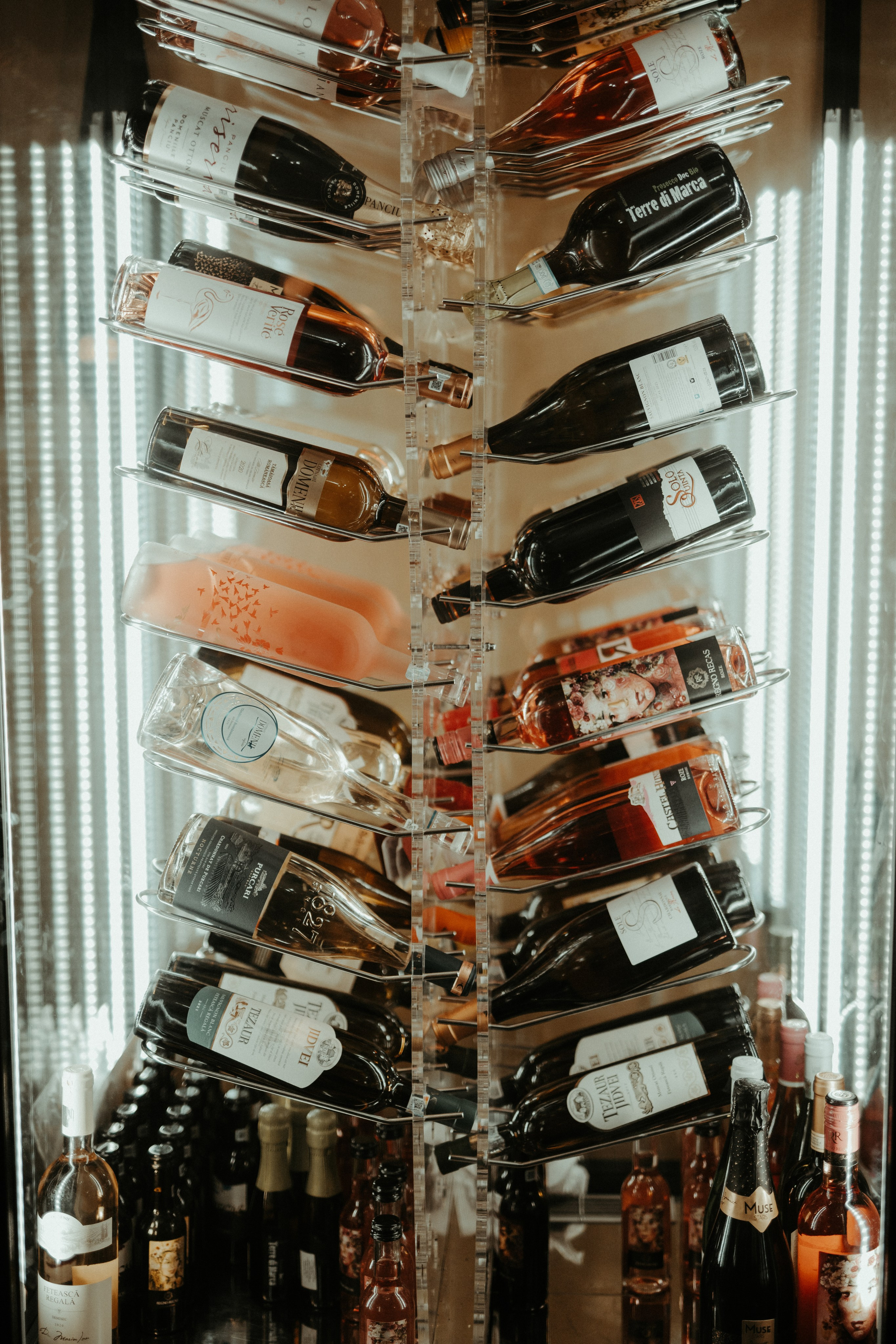 Descoperă Pensiunea Cheile-Oltetului prin Lentila mea