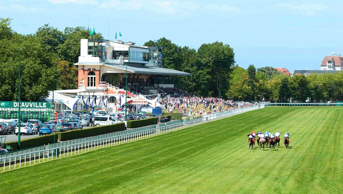 Process — a ballerina and a horse