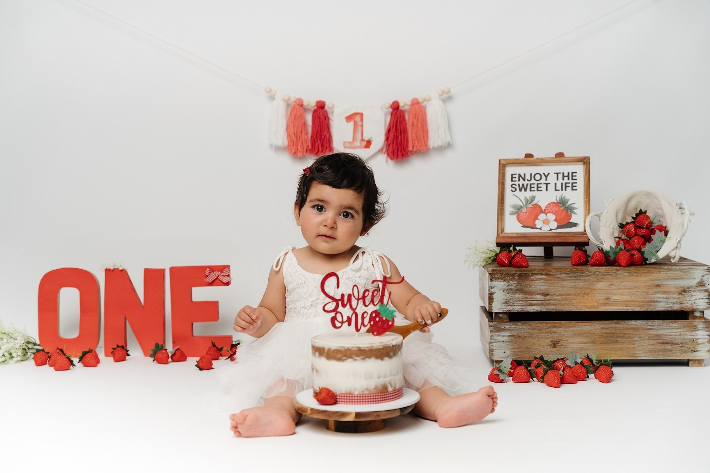 Cake Smash Themes. Newborn and family photographer. Hills District. Sydney