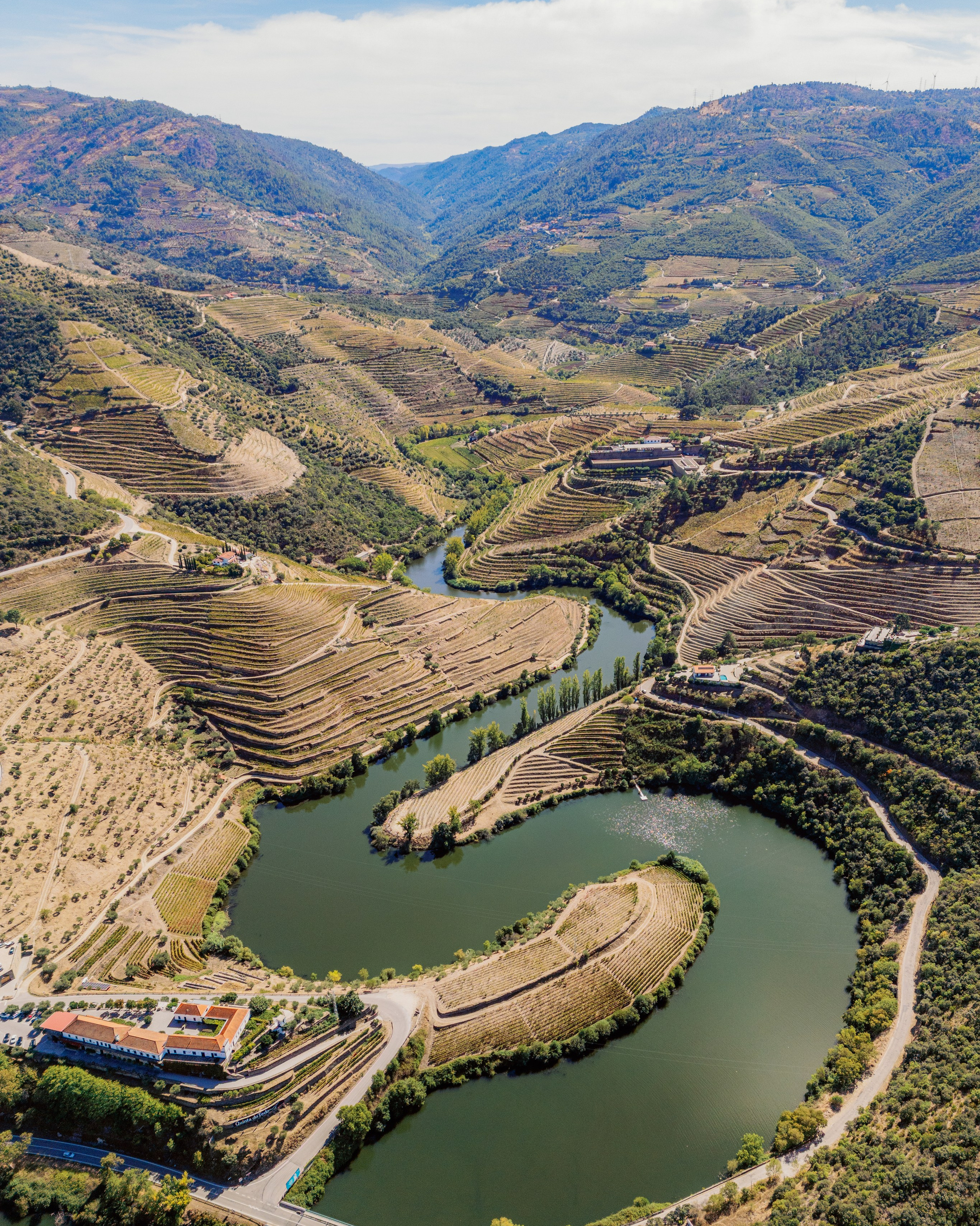 Террасные виноградники и винодельни в долине реки Дору
